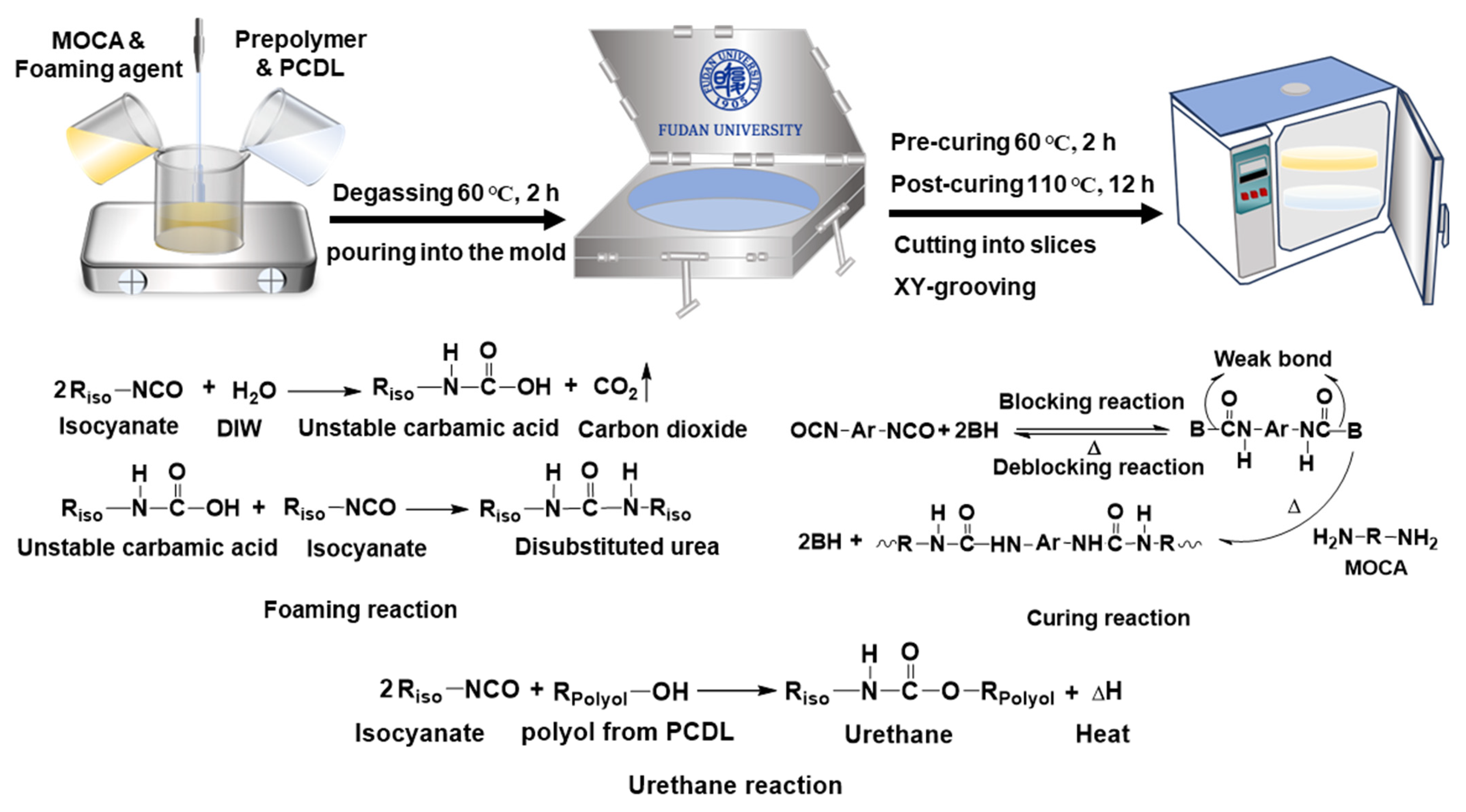 Polymers 17 00613 g001