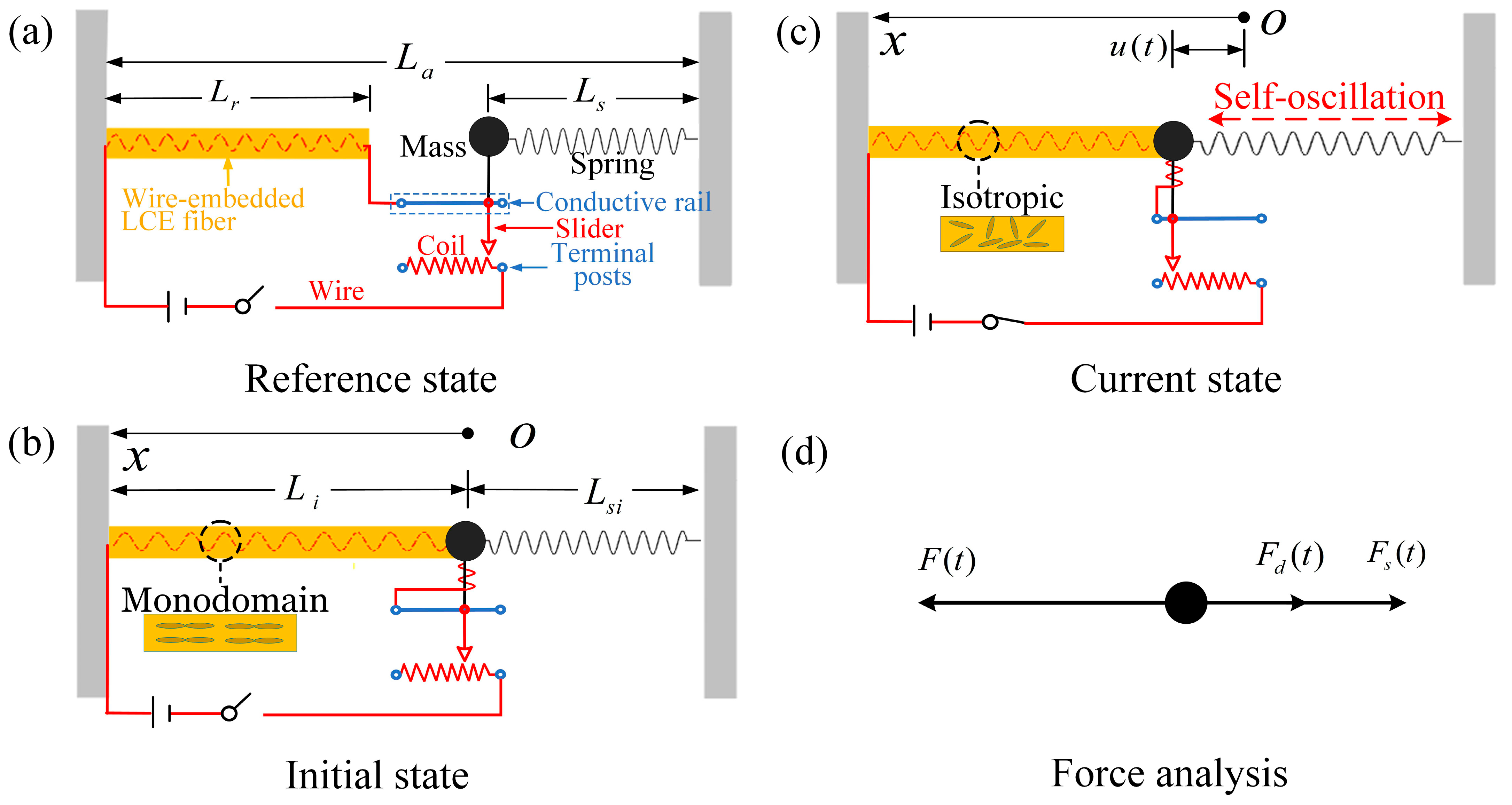 Polymers 17 00617 g001