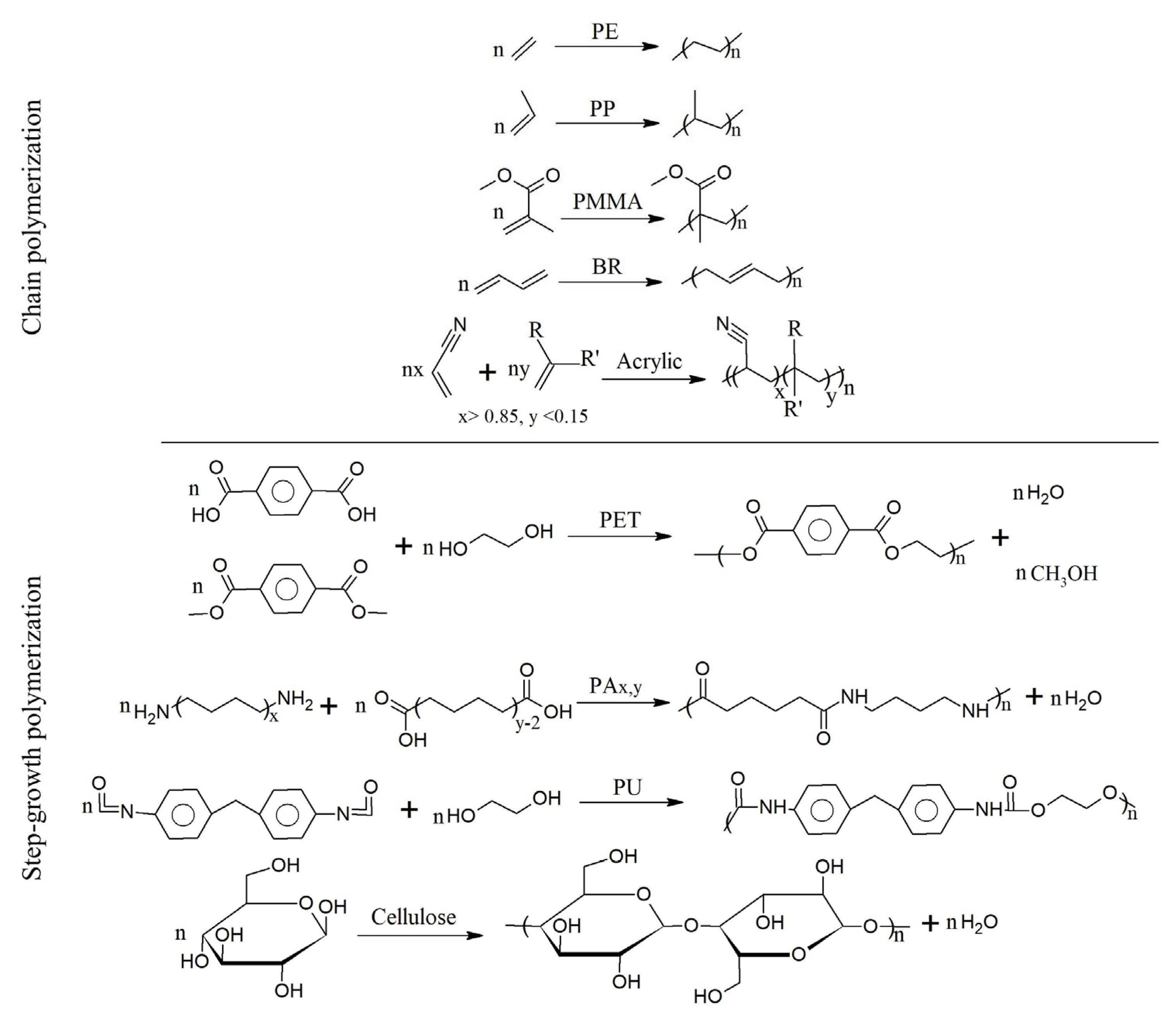 Polymers 17 00628 g006