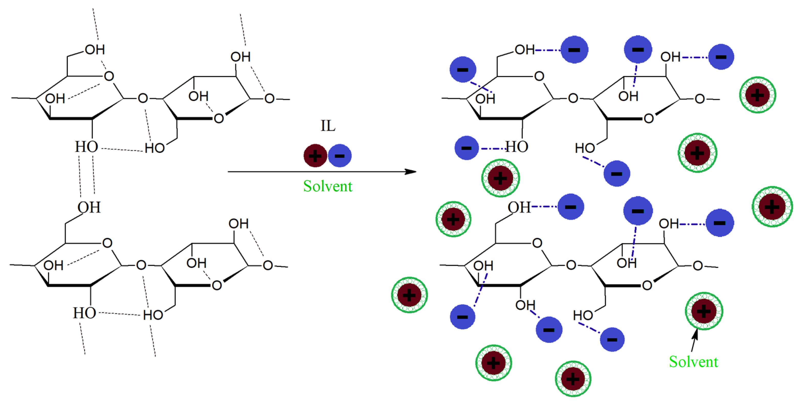 Polymers 17 00628 g015
