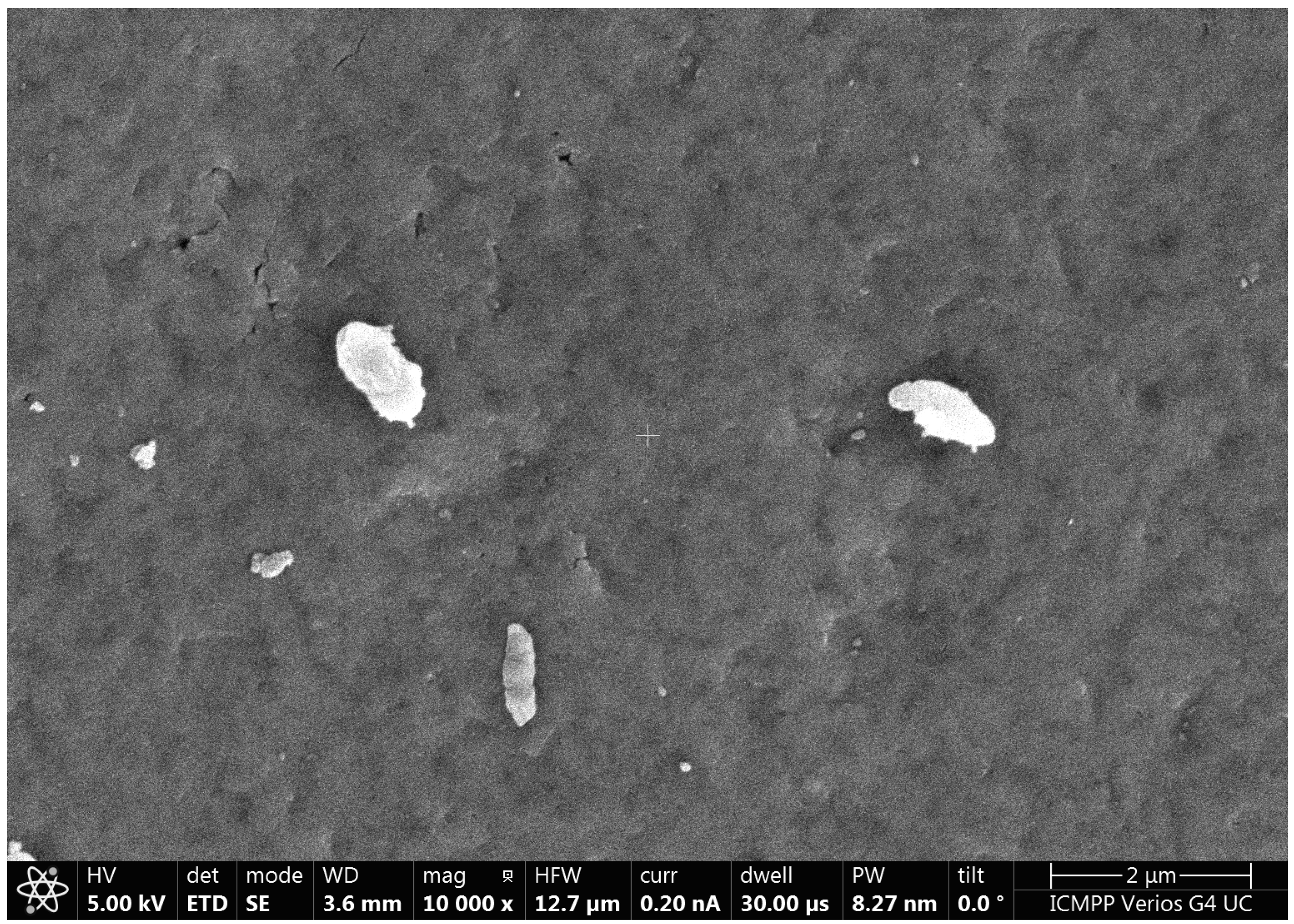 Polymers 17 00641 g002