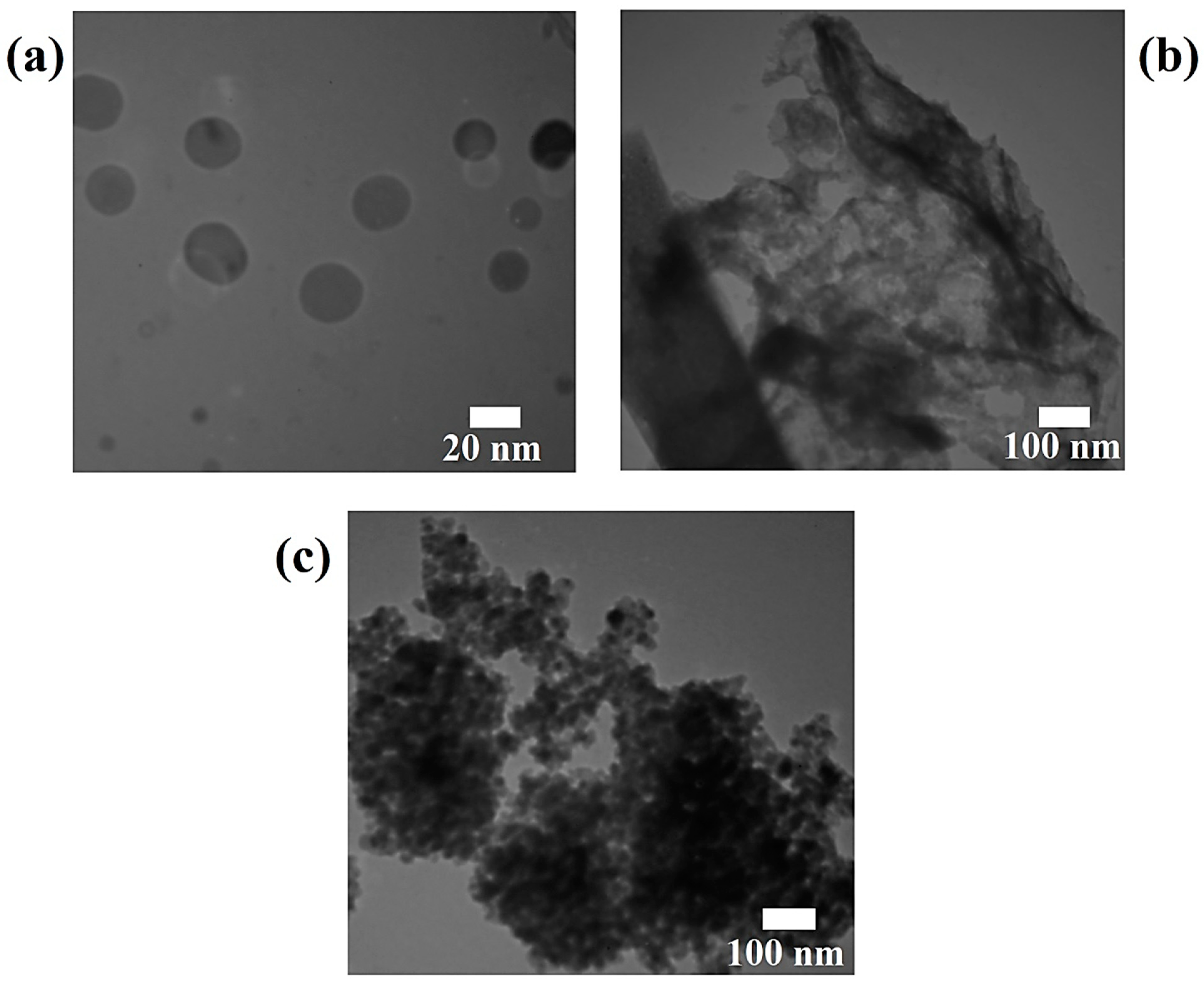 Polymers 17 00649 g006