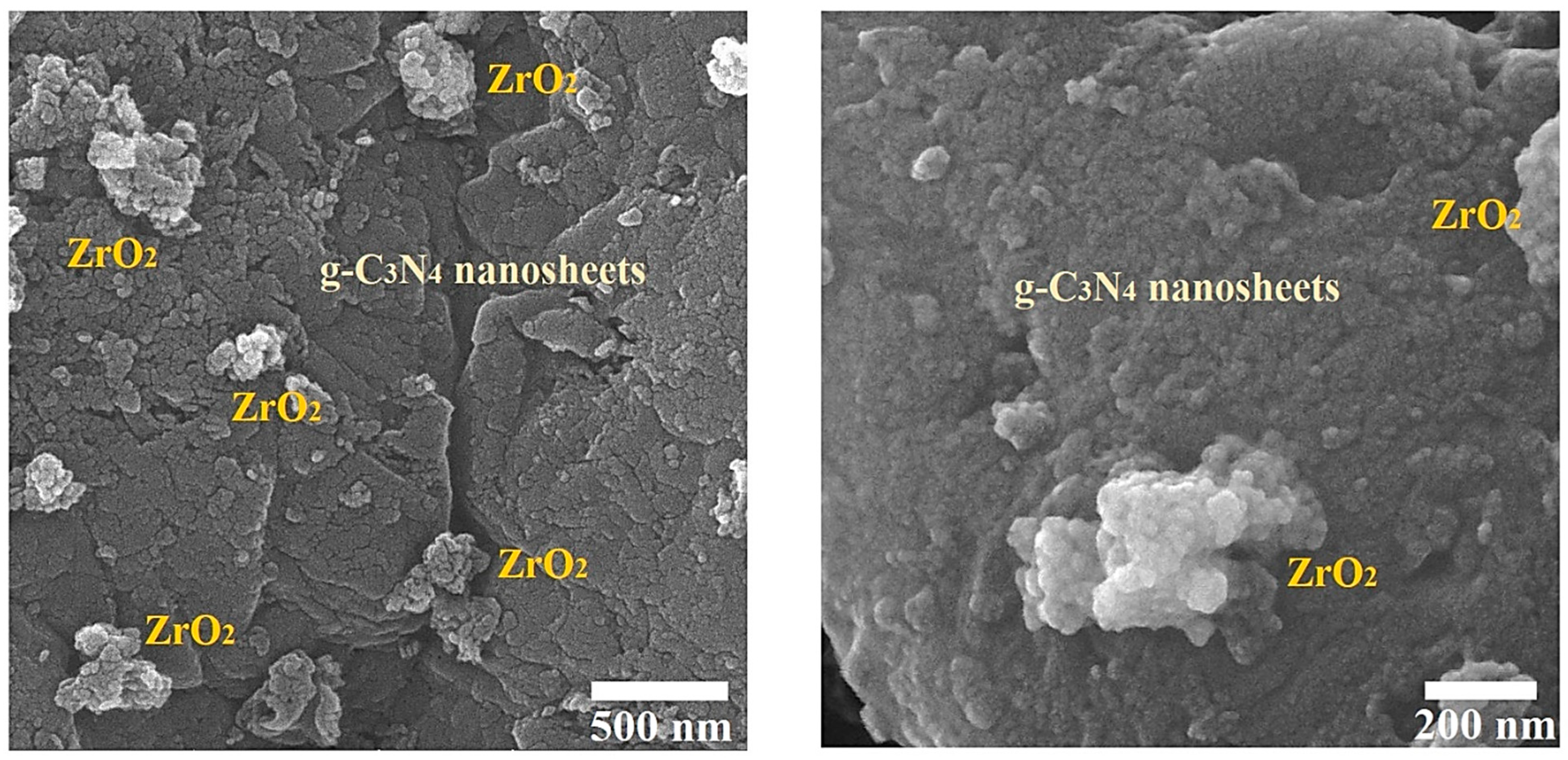 Polymers 17 00649 g007