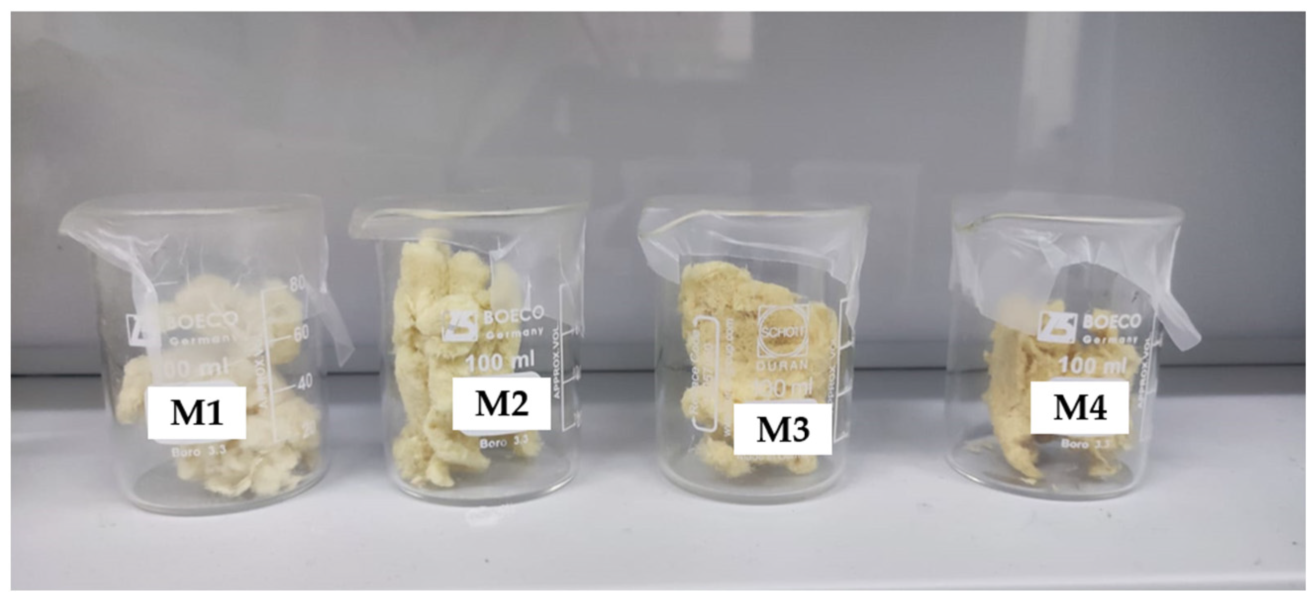 Polymers 17 00652 g001