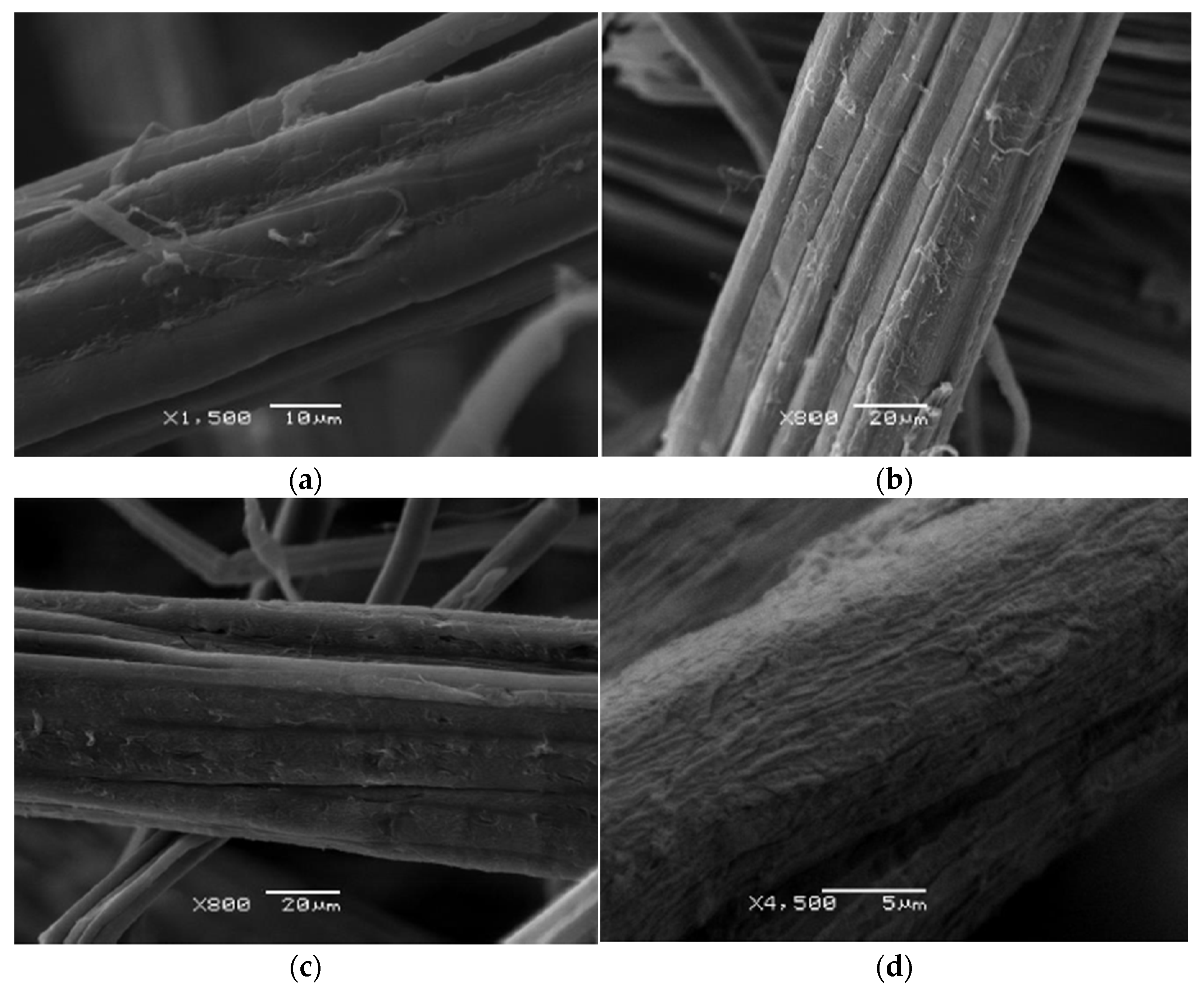 Polymers 17 00652 g004