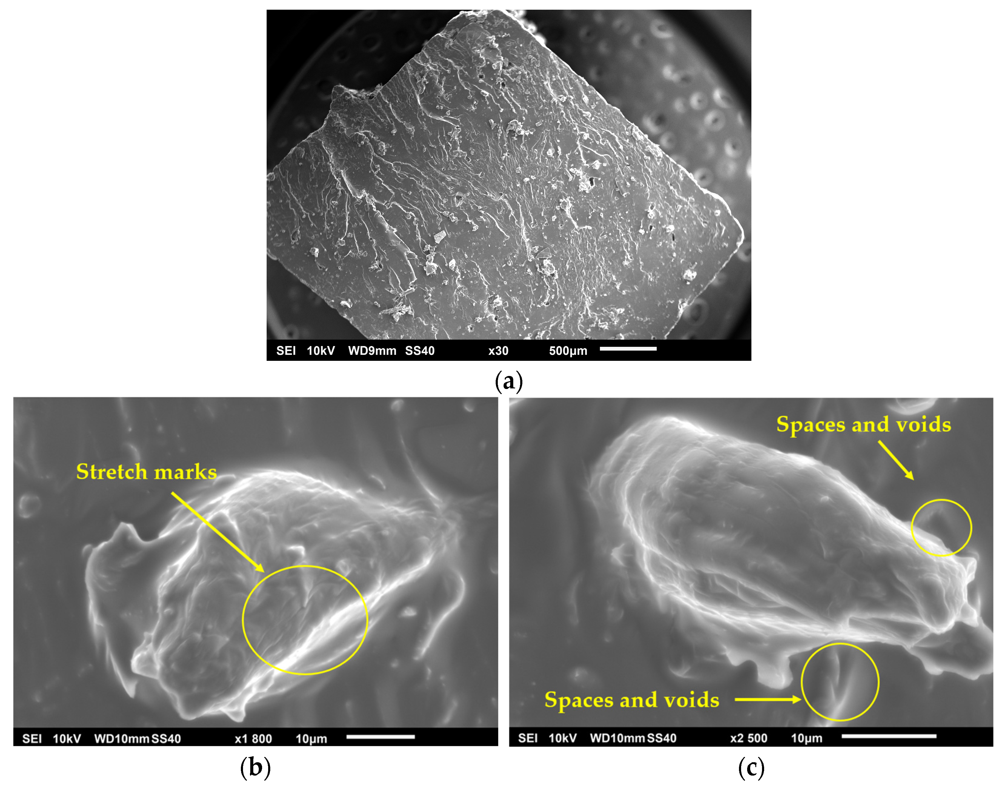 Polymers 17 00652 g007