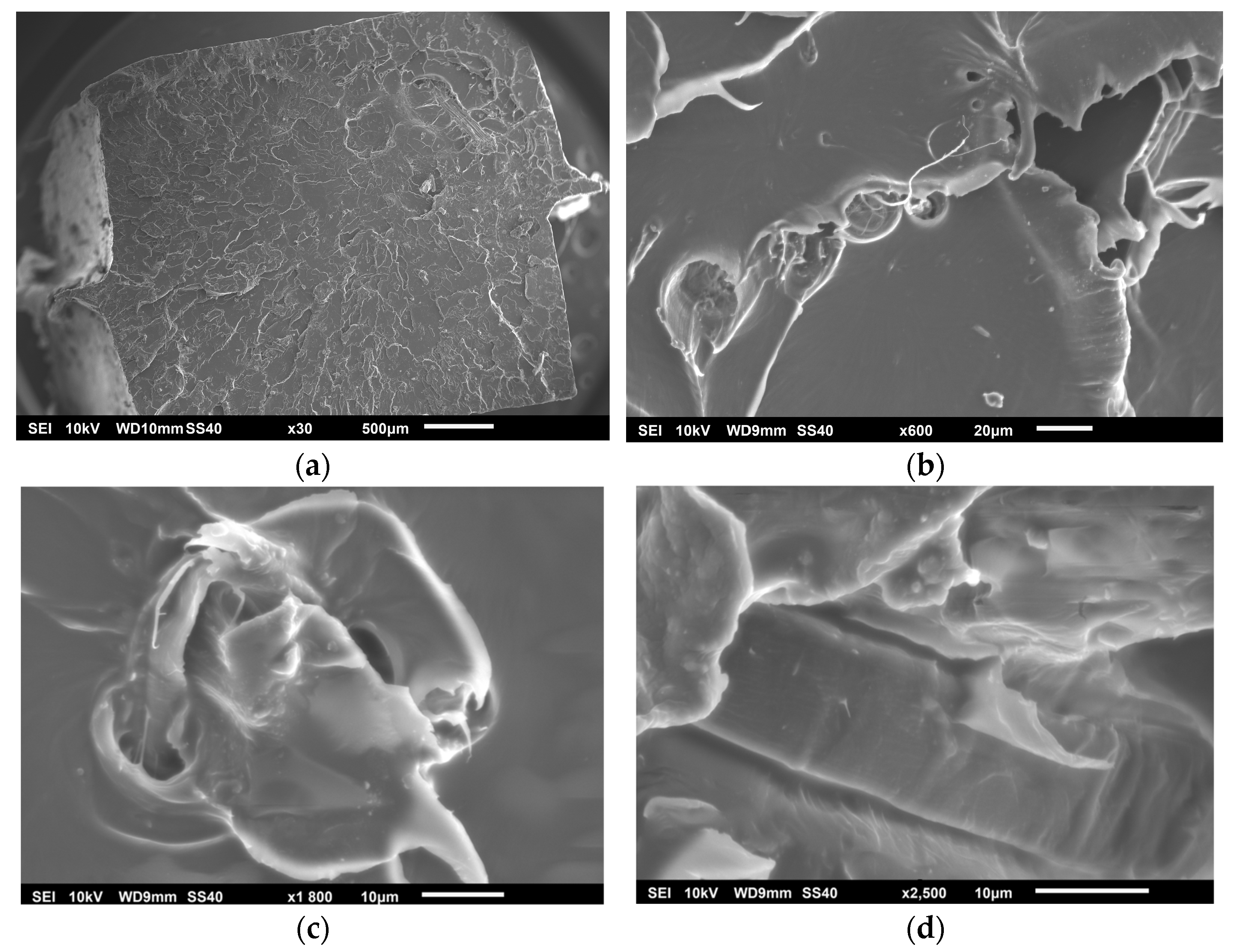 Polymers 17 00652 g008