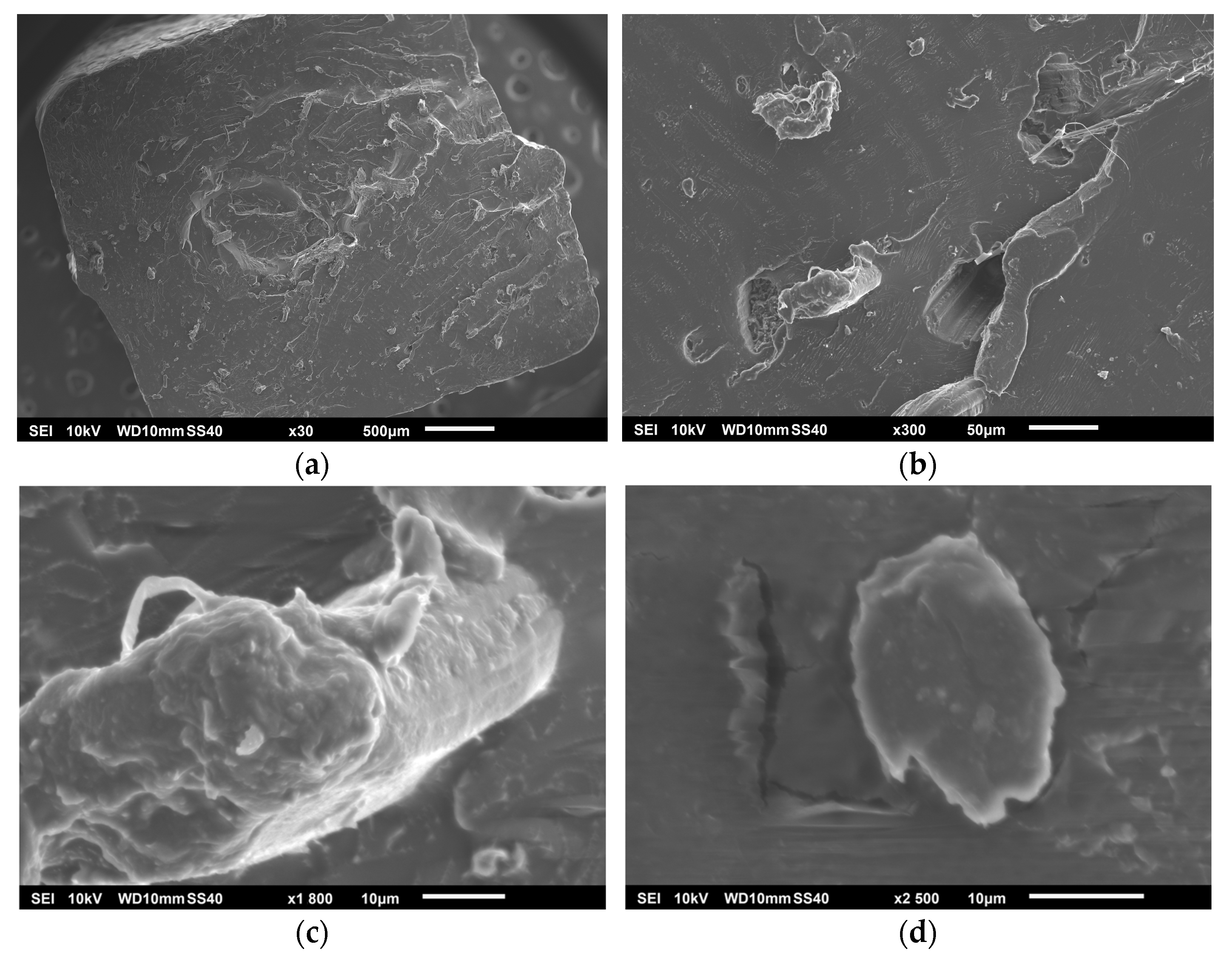 Polymers 17 00652 g009