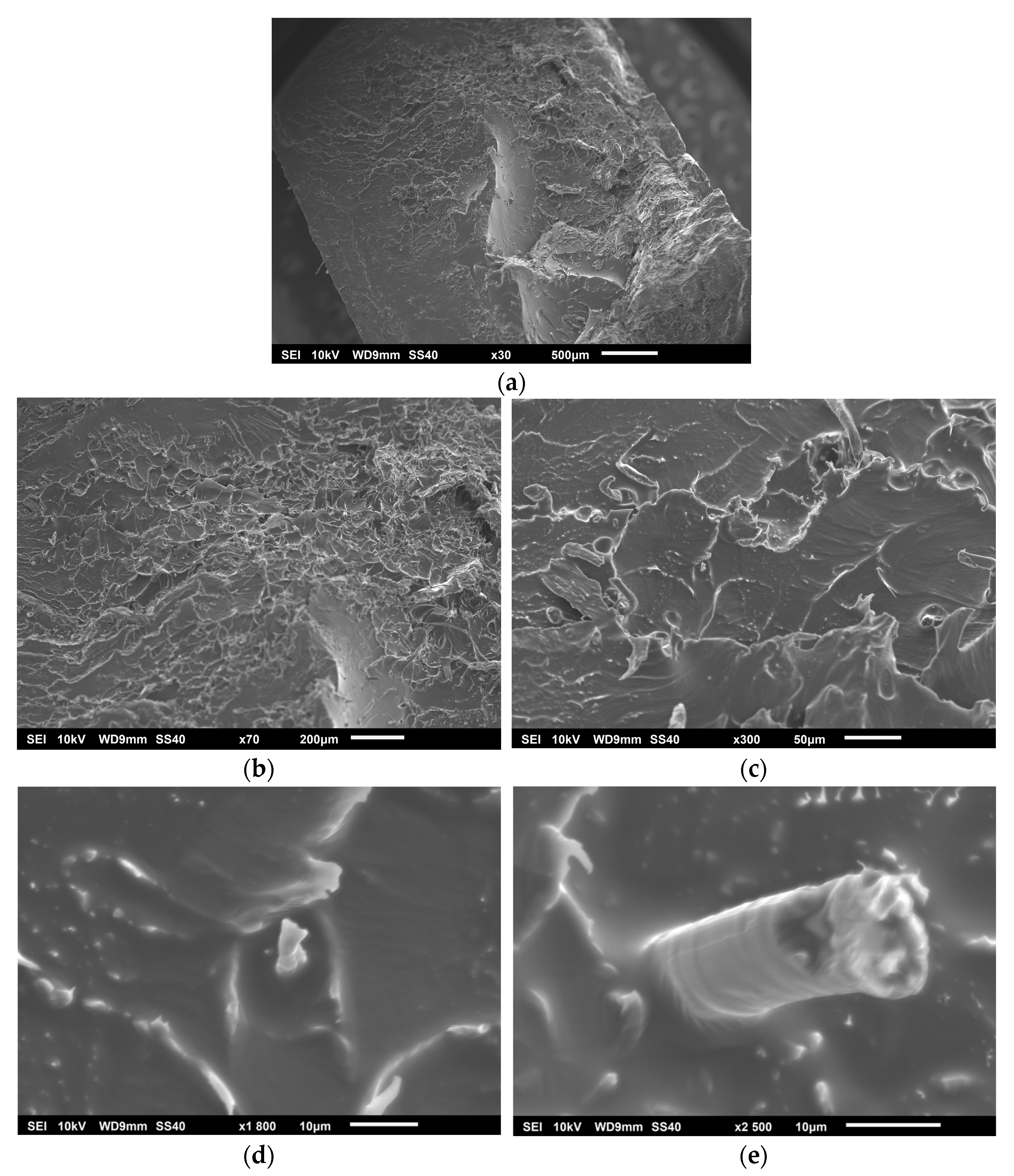 Polymers 17 00652 g010