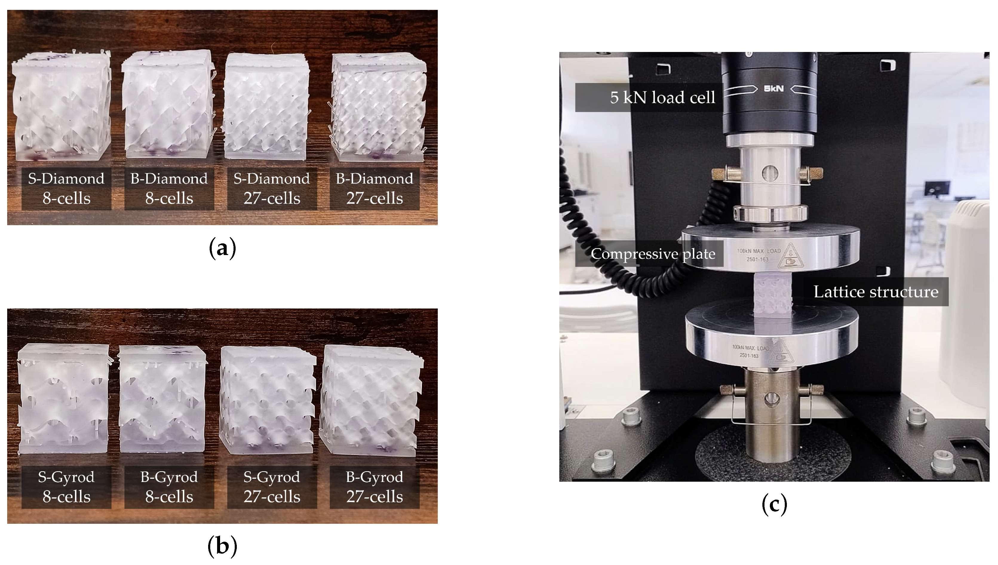 Polymers 17 00654 g006