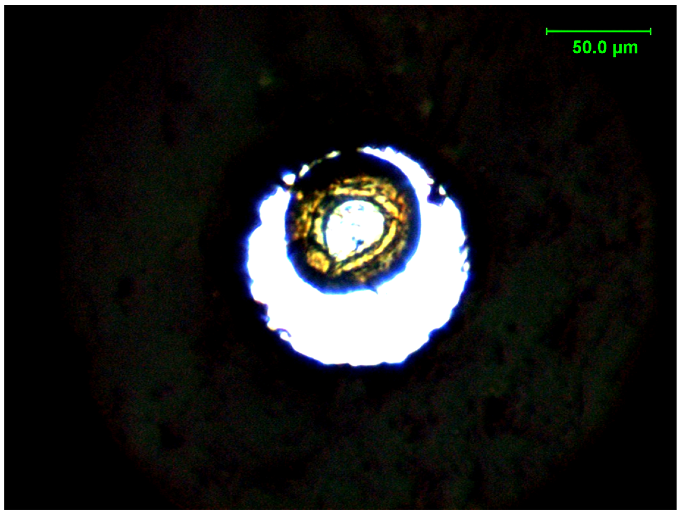Polymers 17 00655 g002