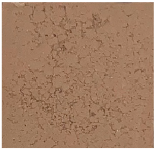 Polymers 17 00656 i003