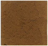 Polymers 17 00656 i004