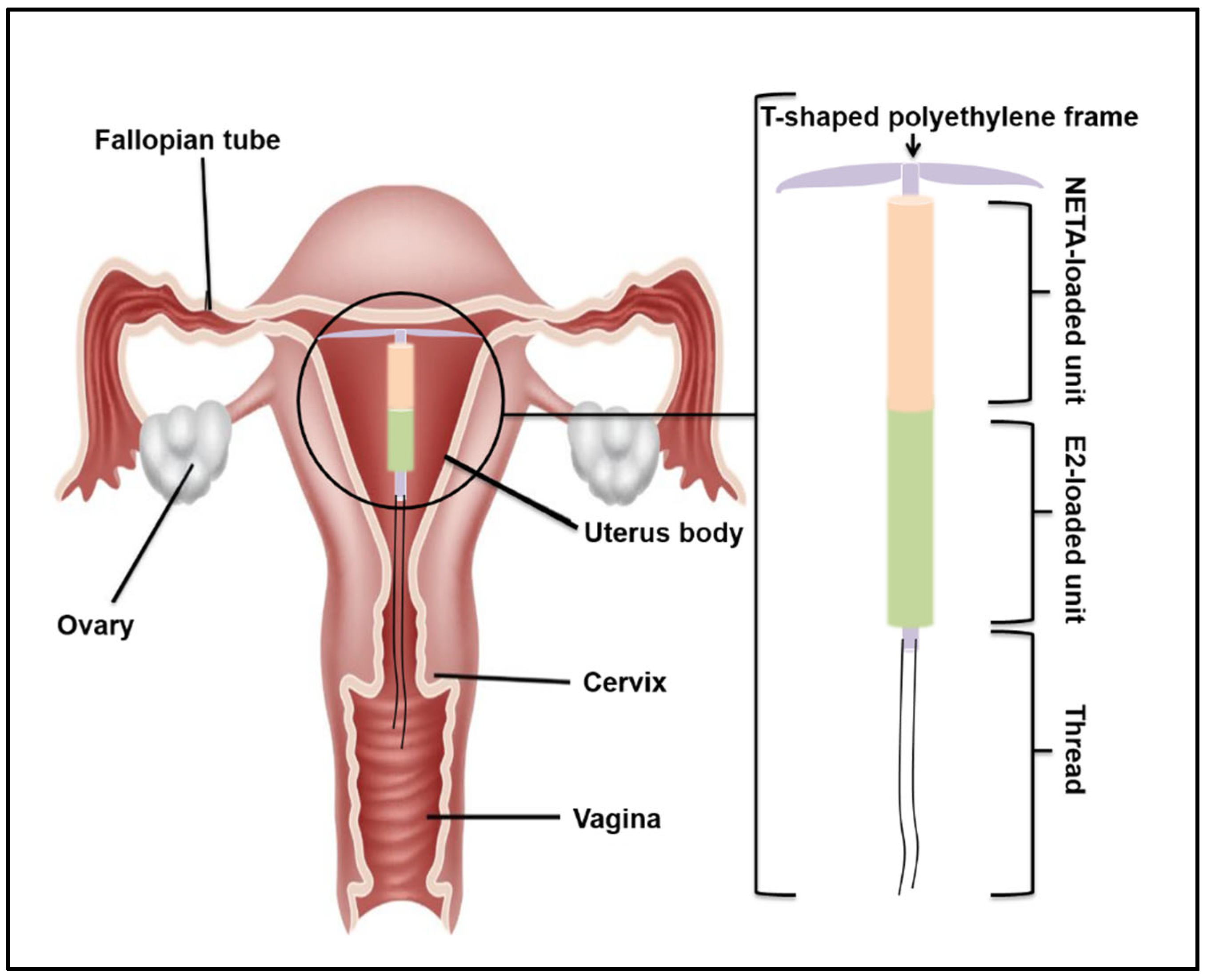 Polymers 17 00665 g001