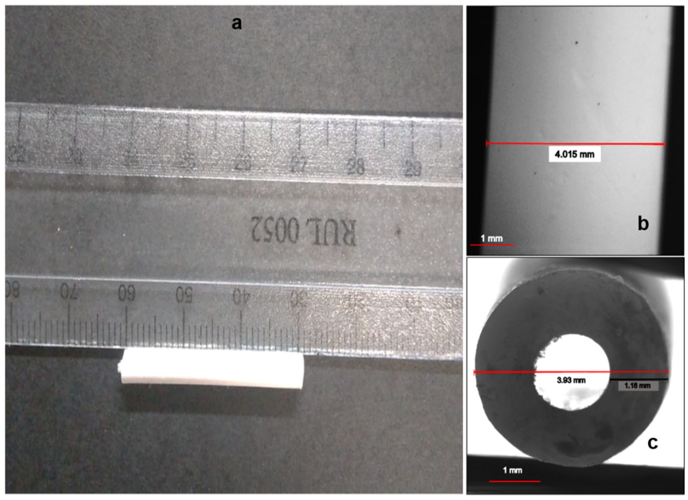 Polymers 17 00665 g002