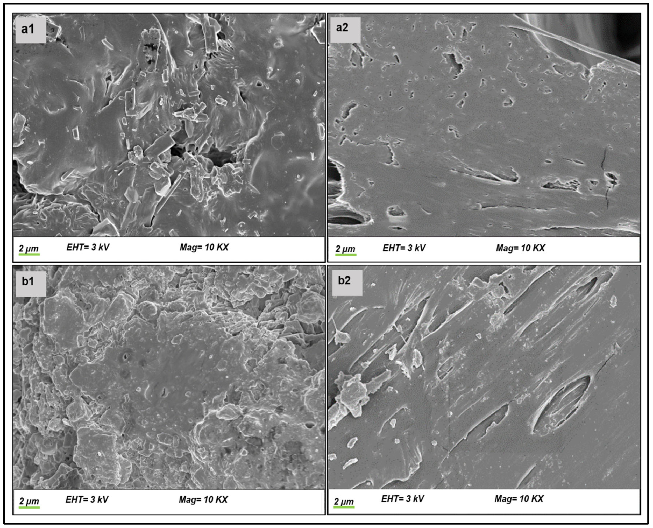 Polymers 17 00665 g007