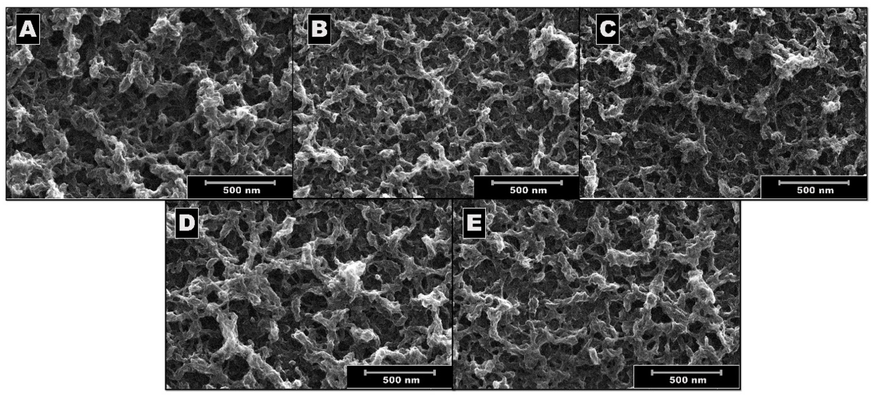 Polymers 17 00672 g002 Polymers 17 00672 g002