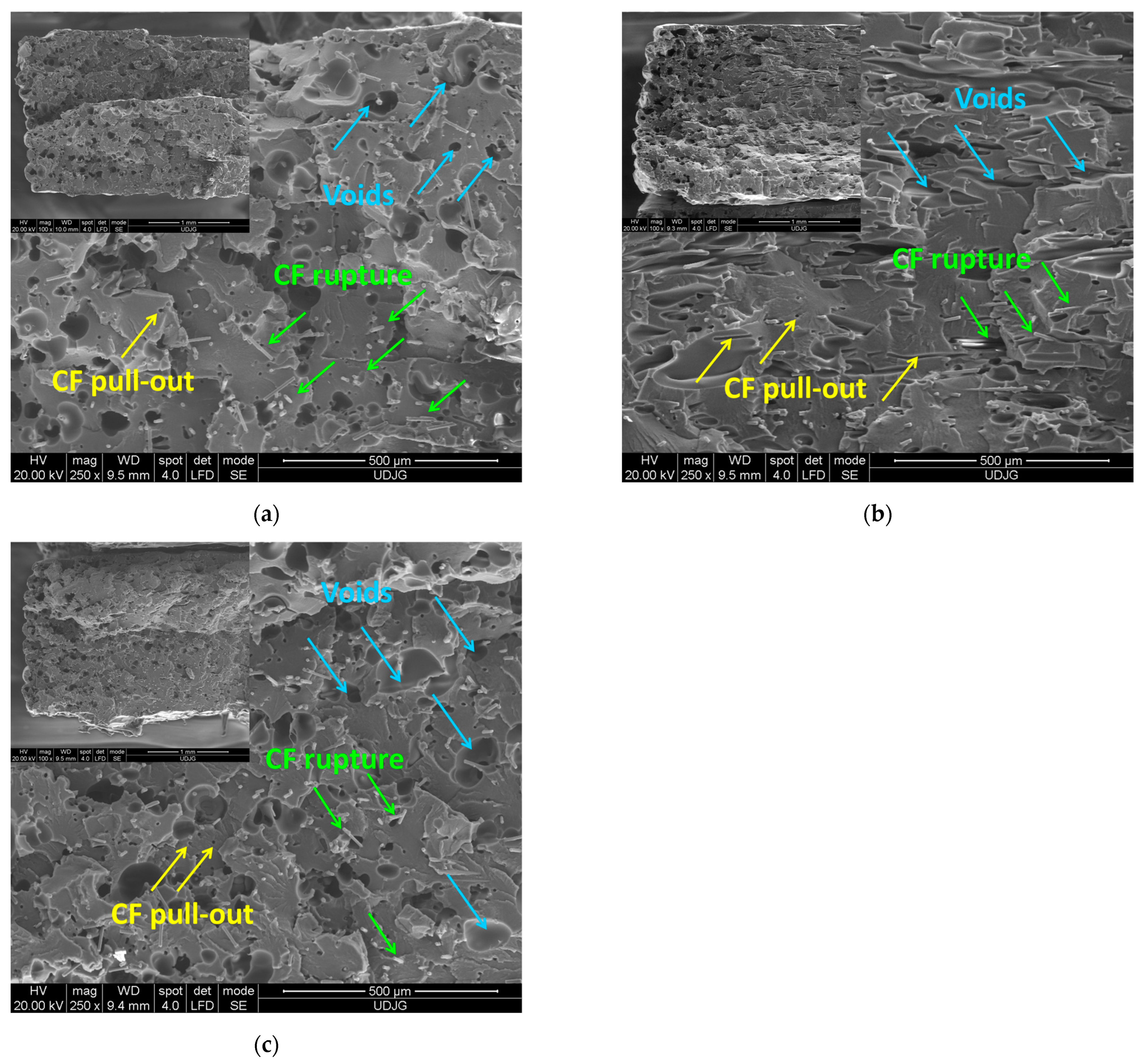 Polymers 17 00677 g004