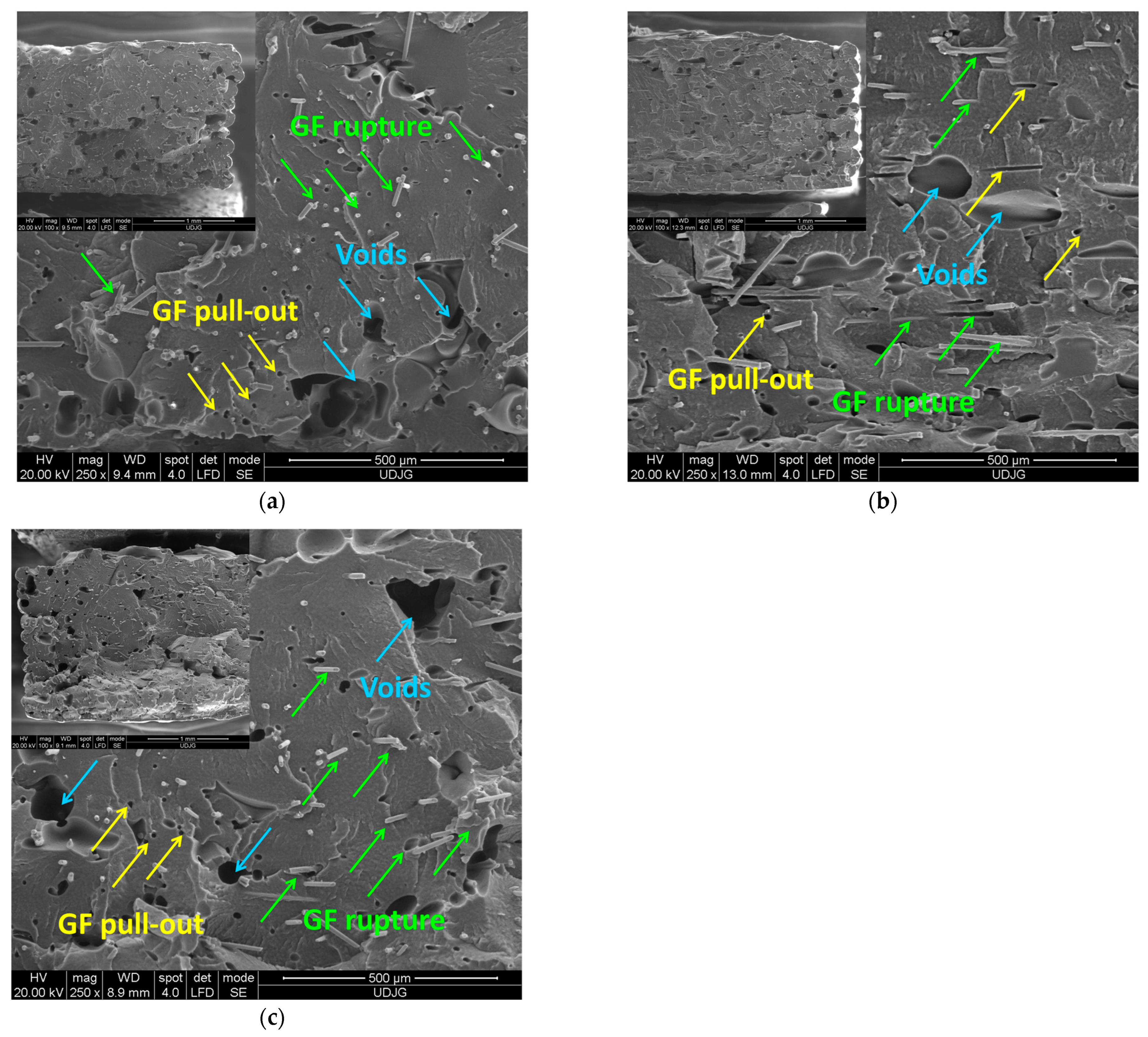 Polymers 17 00677 g005