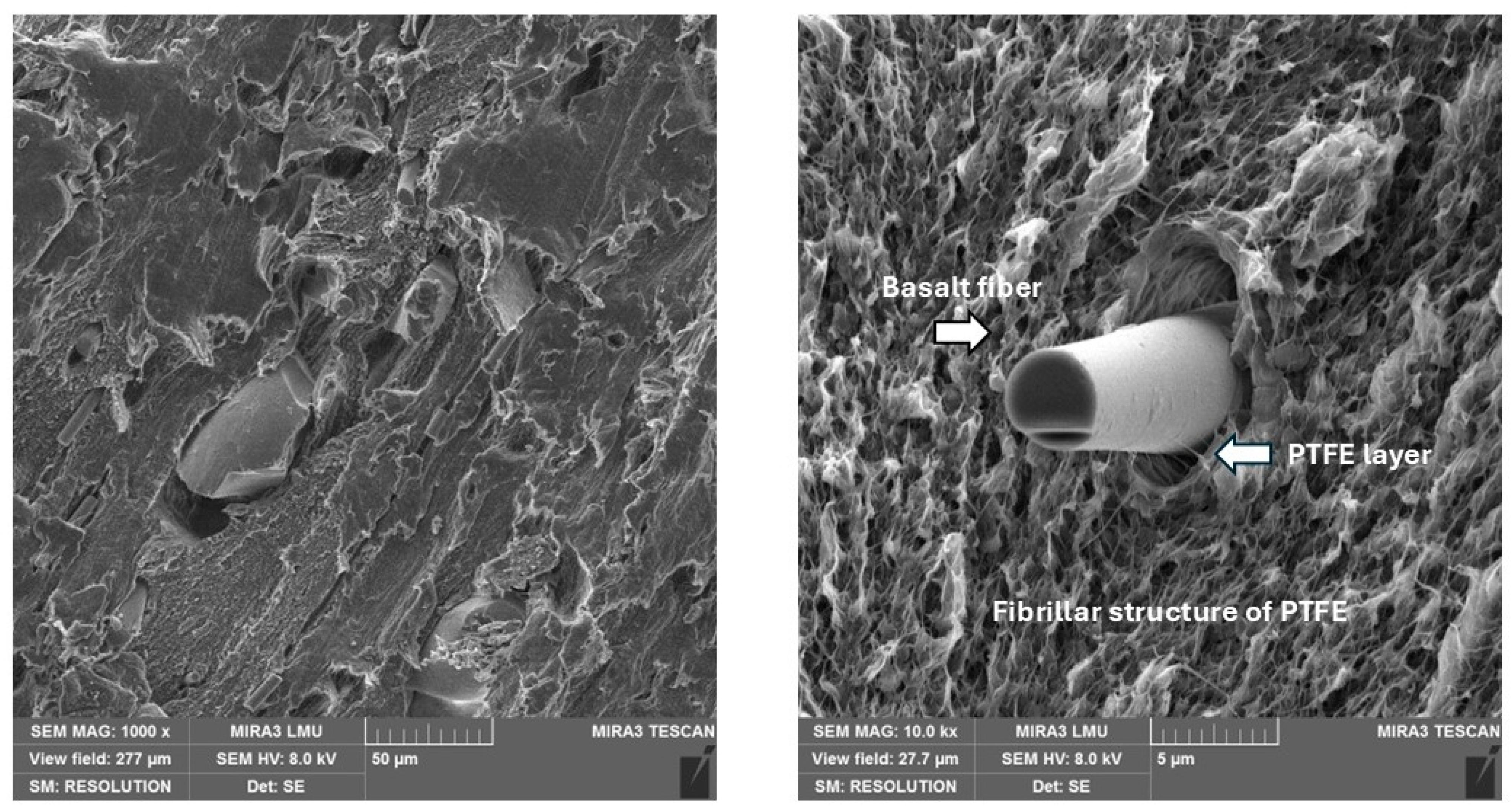 Polymers 17 00694 g005
