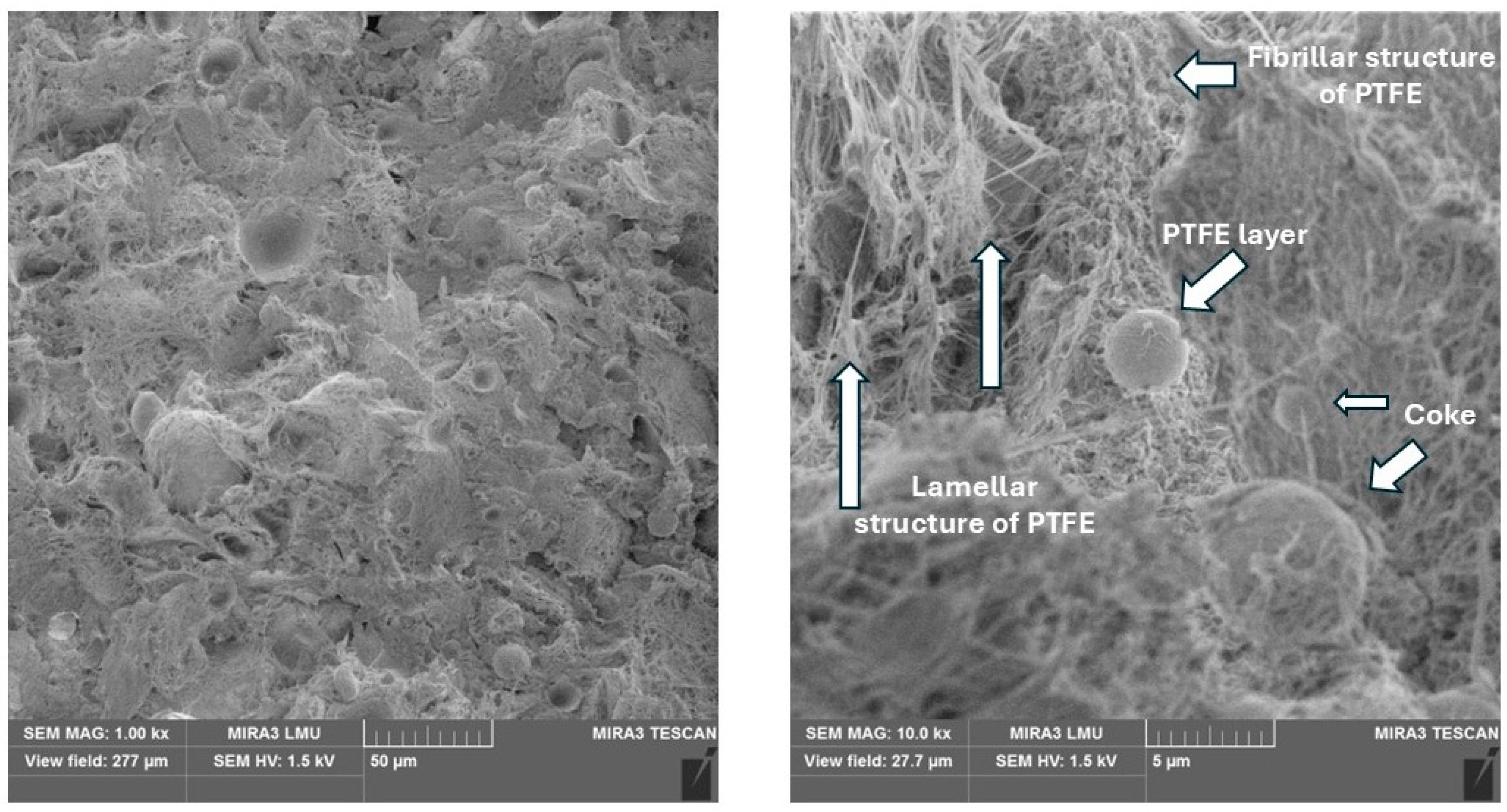 Polymers 17 00694 g007