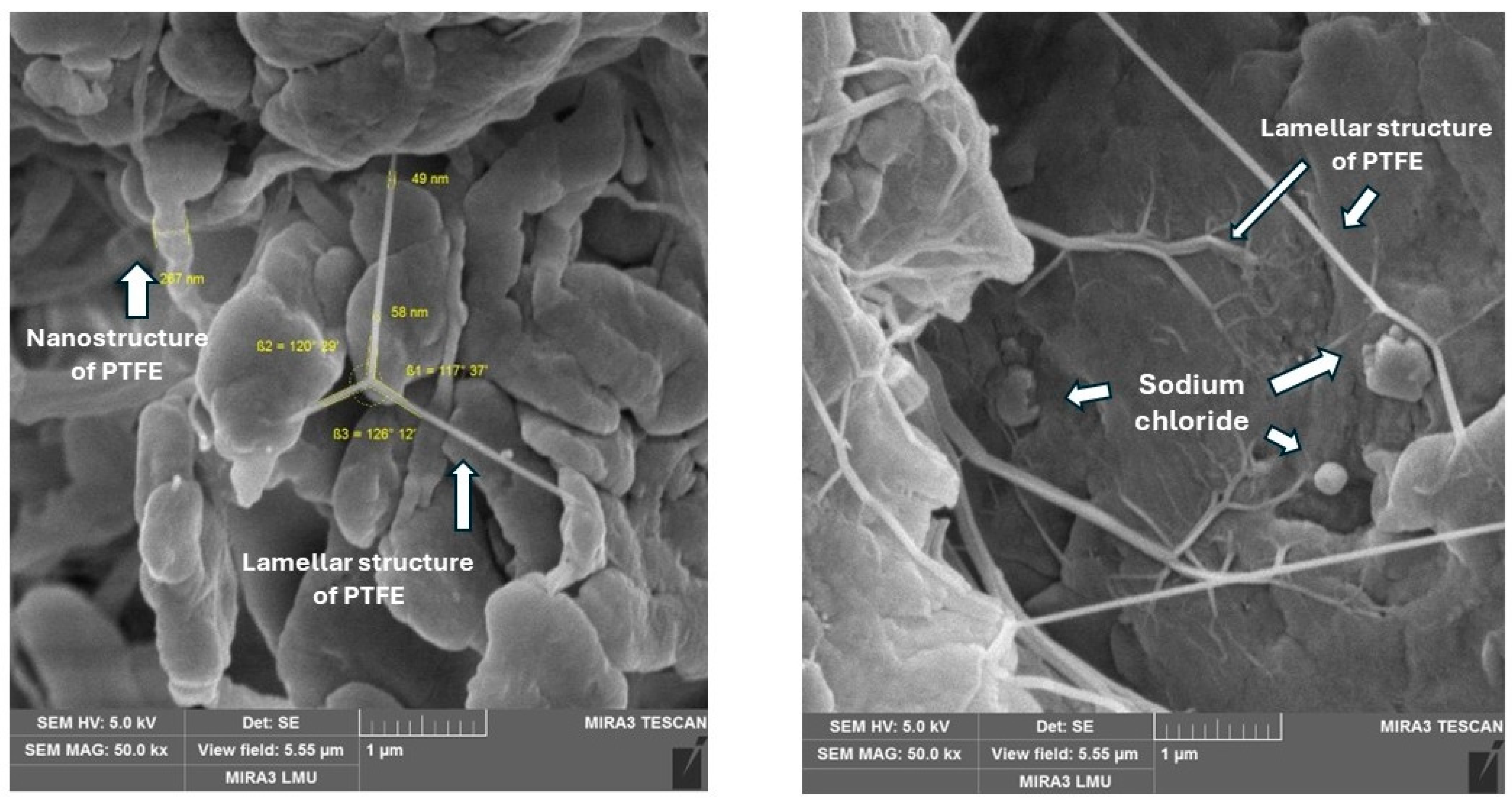 Polymers 17 00694 g009
