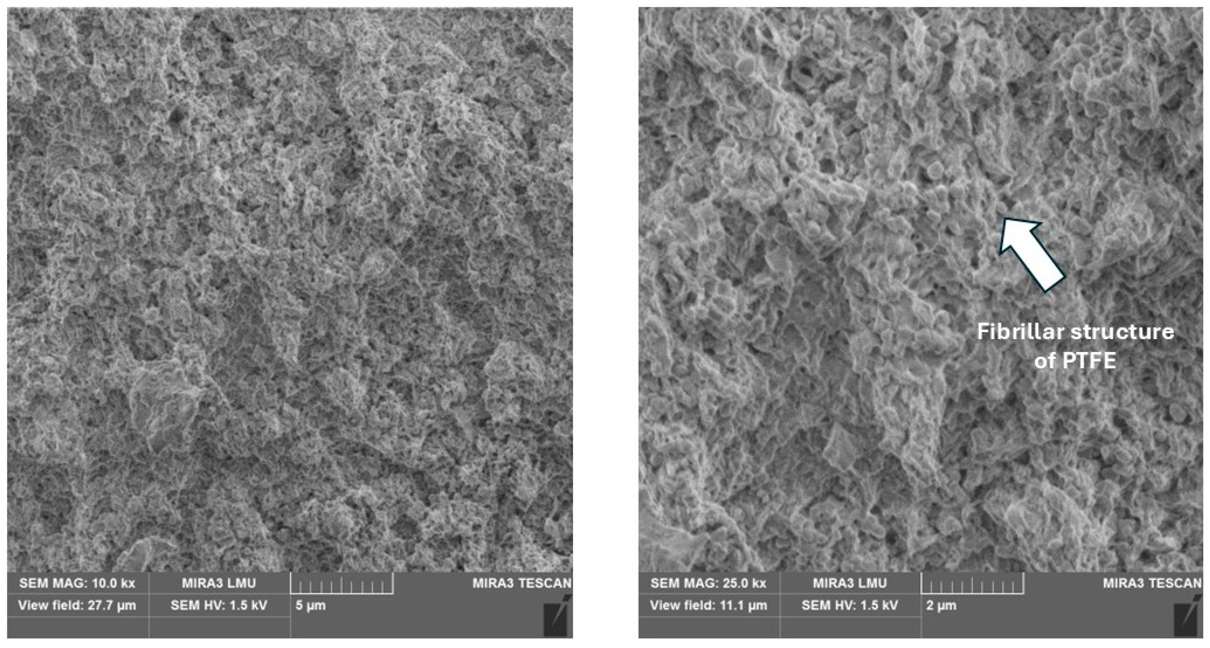 Polymers 17 00694 g010