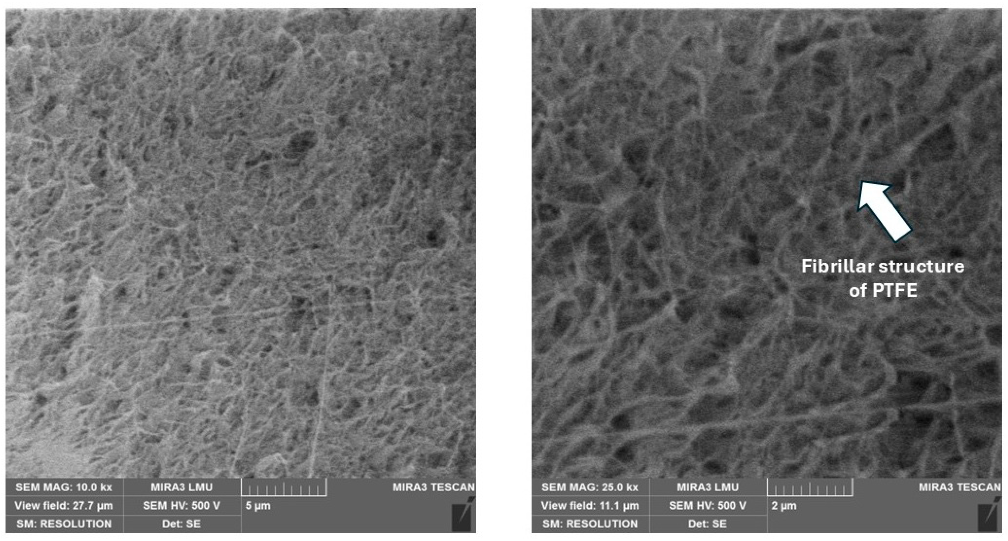 Polymers 17 00694 g011