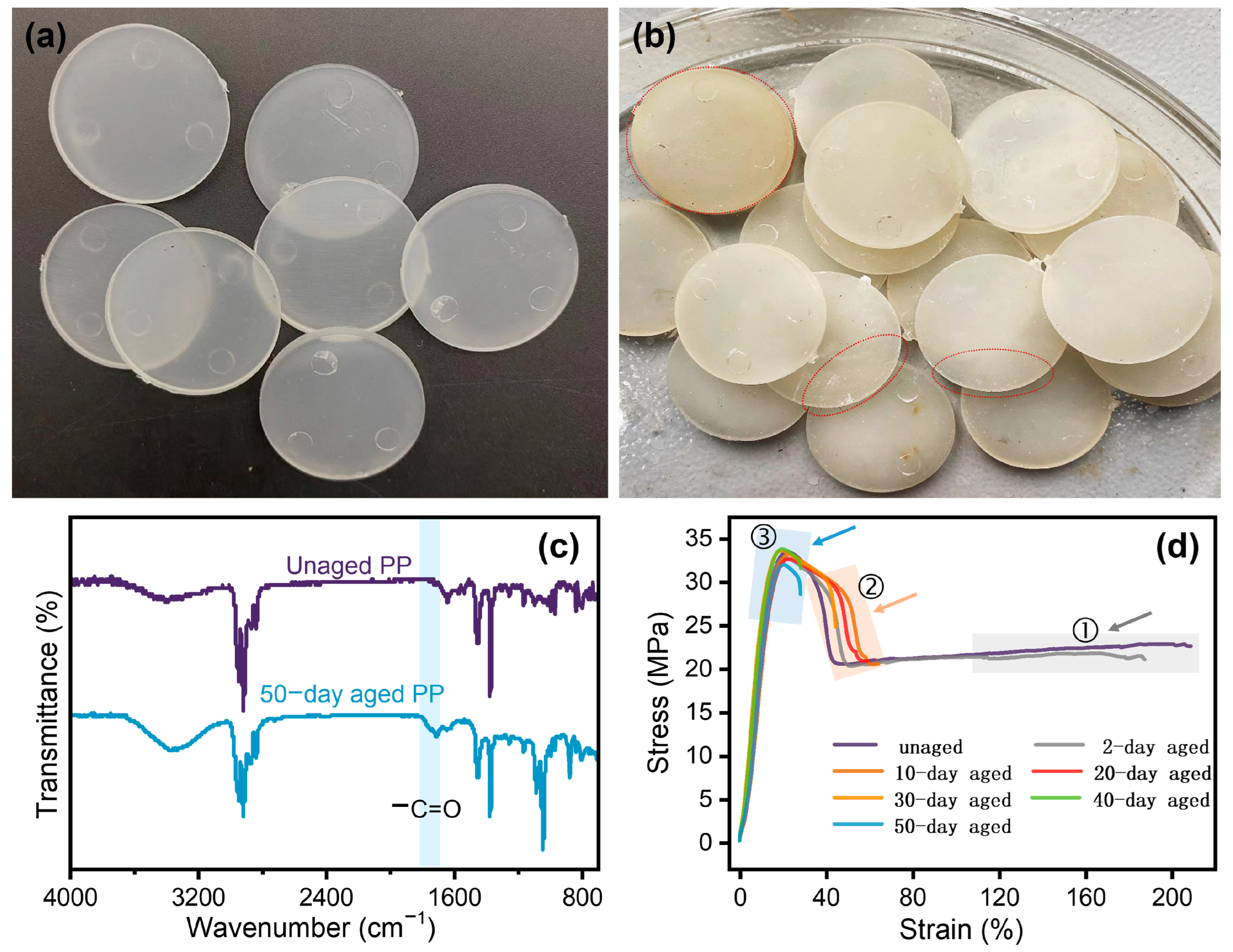Polymers 17 00700 g001