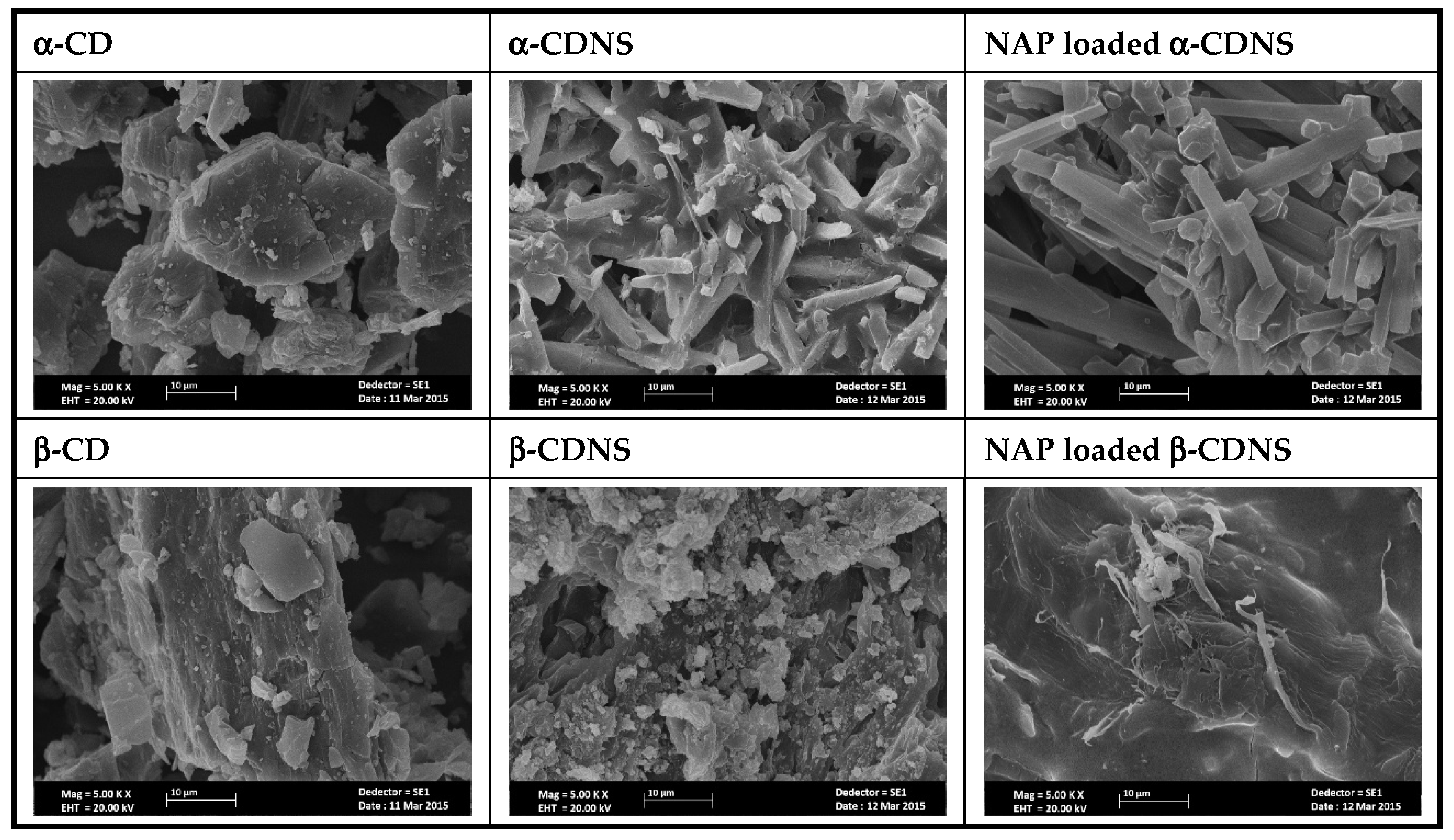 Polymers 17 00709 g009