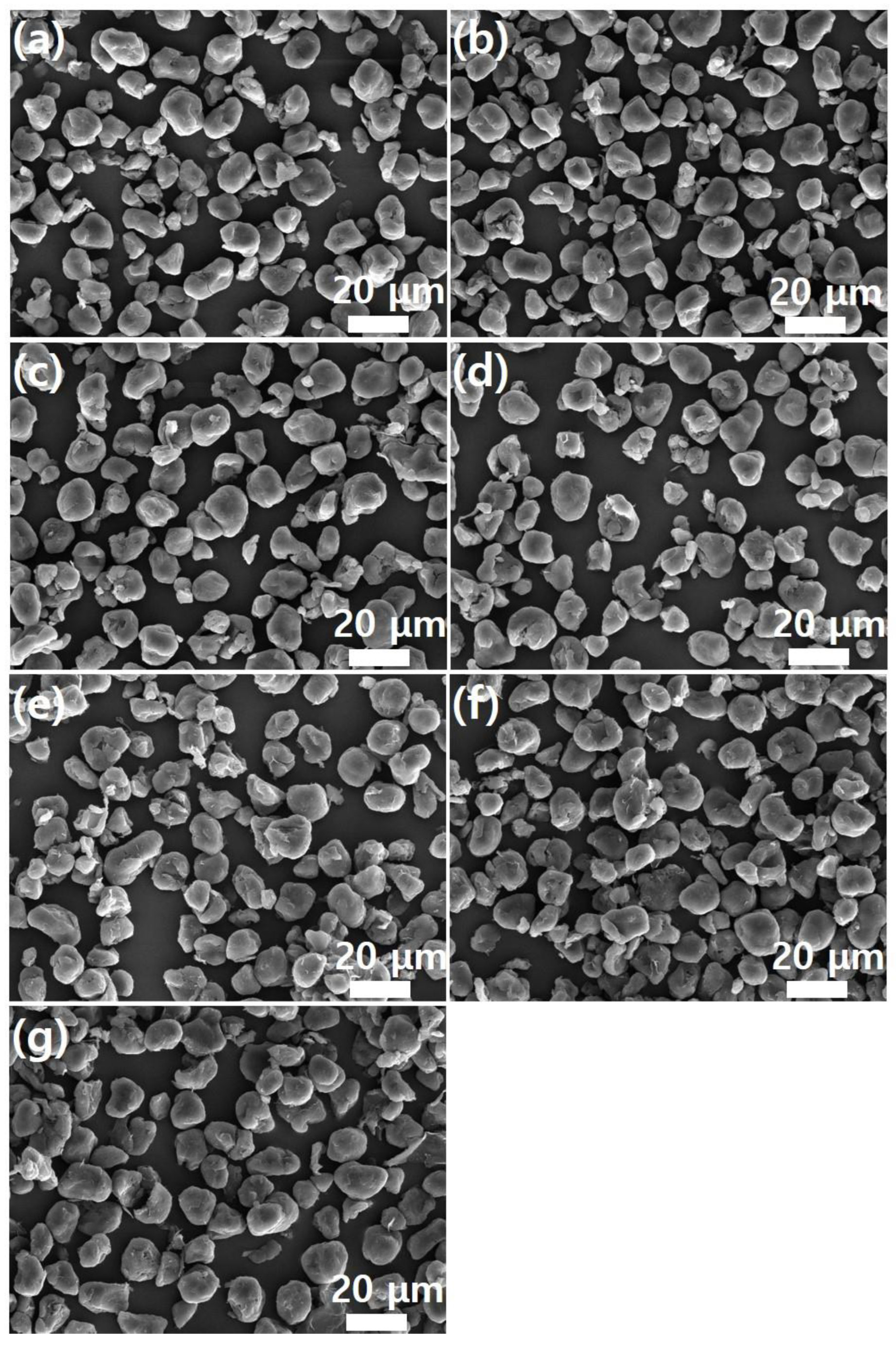 Polymers 17 00721 g004