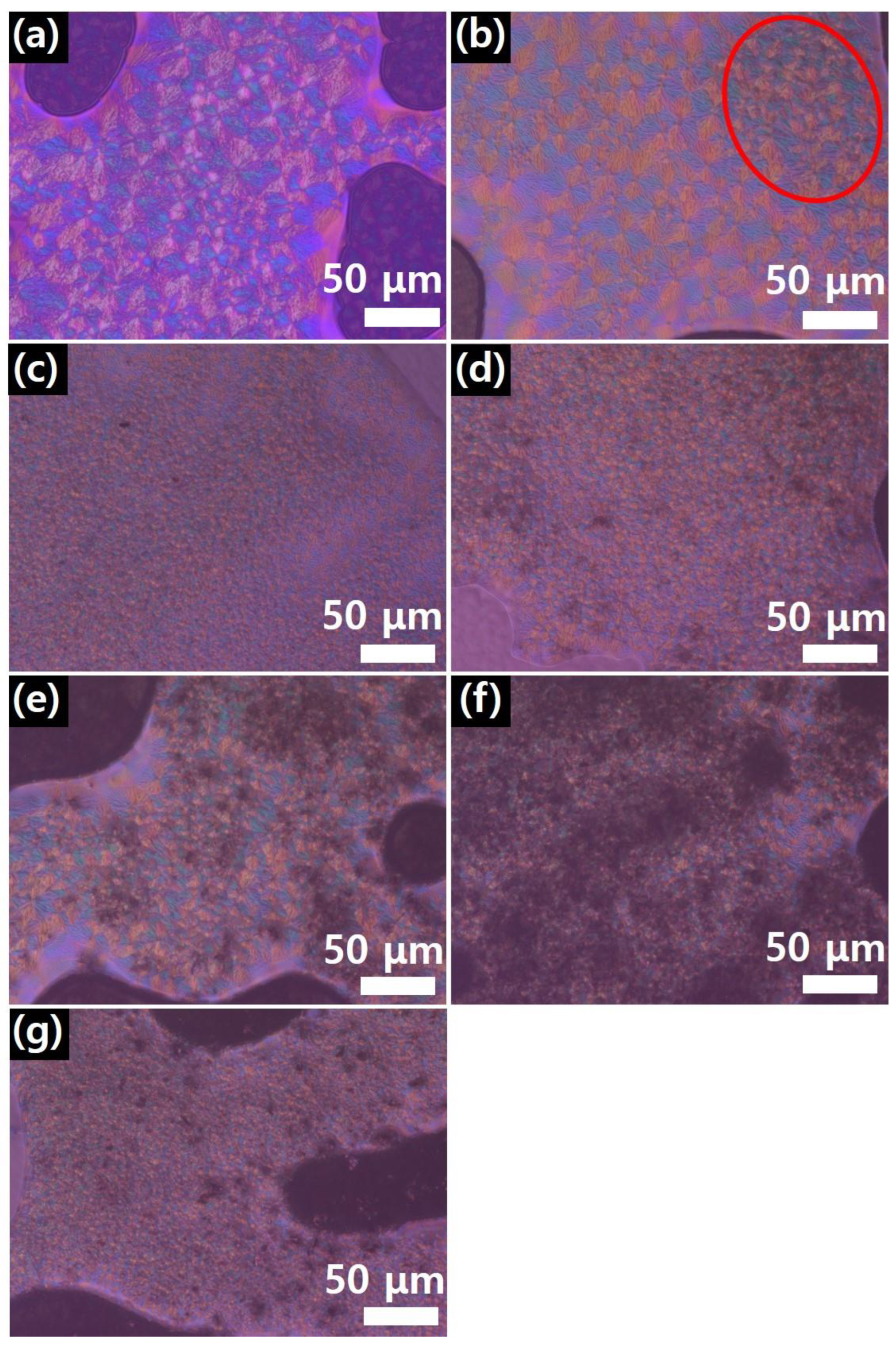 Polymers 17 00721 g007