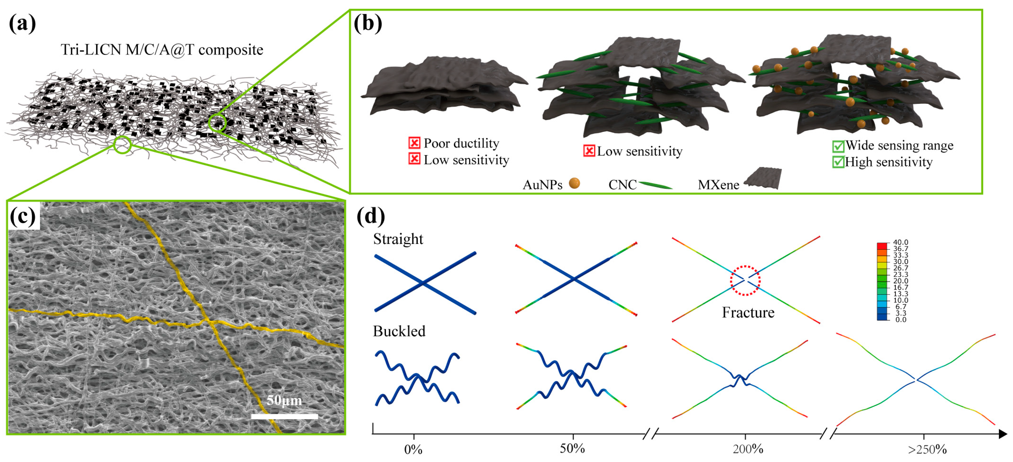 Polymers 17 00734 g001