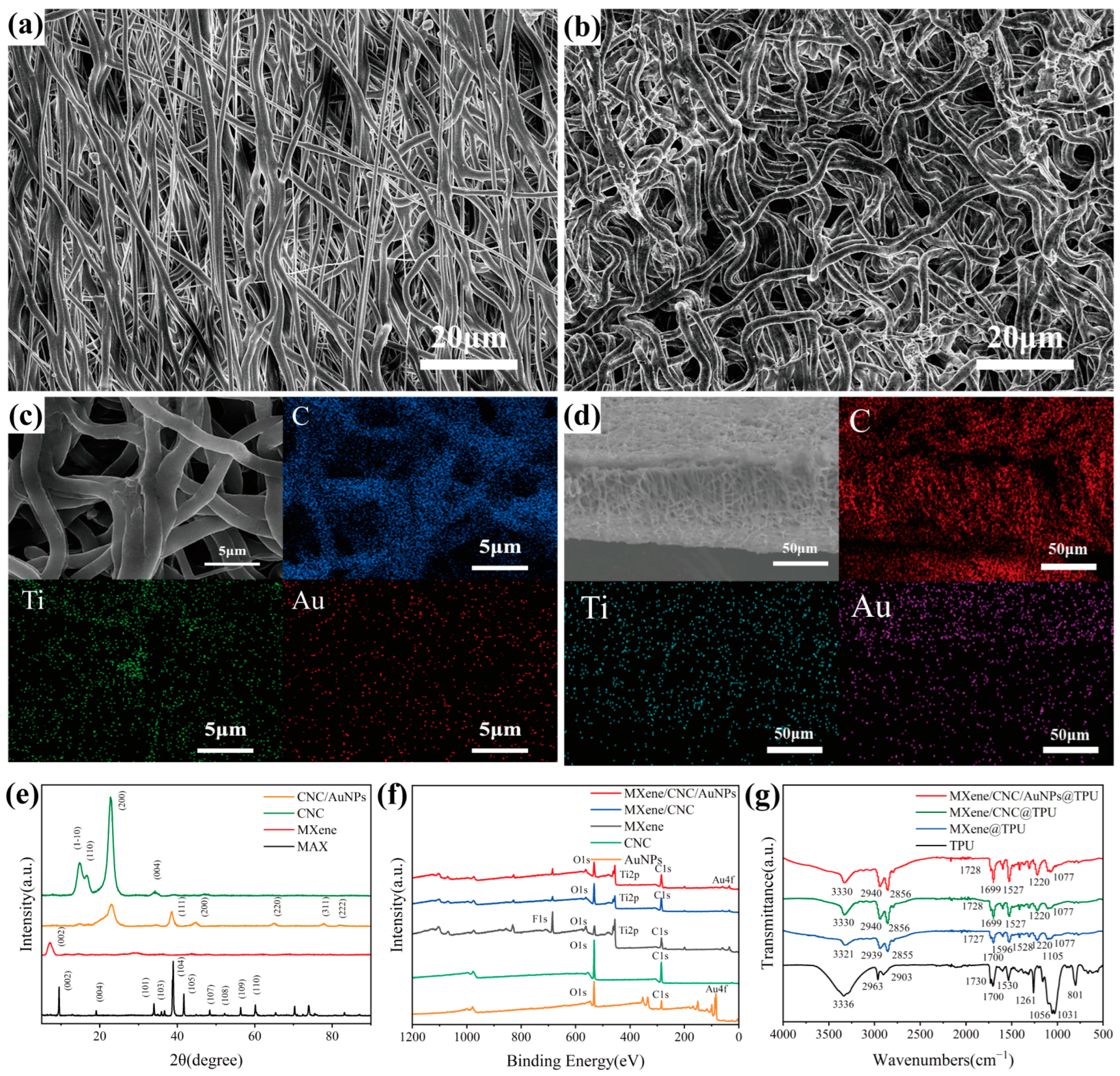 Polymers 17 00734 g003