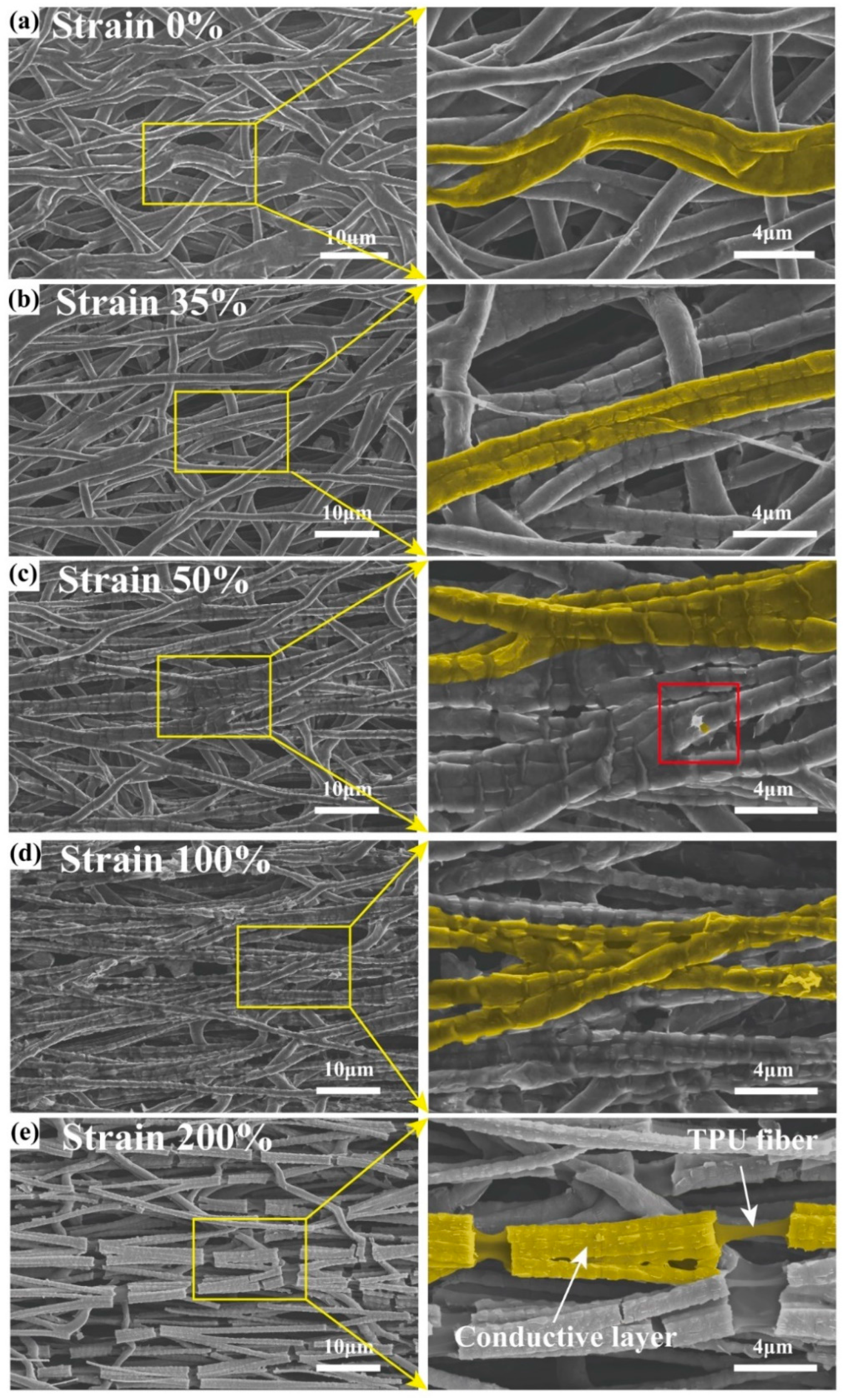 Polymers 17 00734 g004