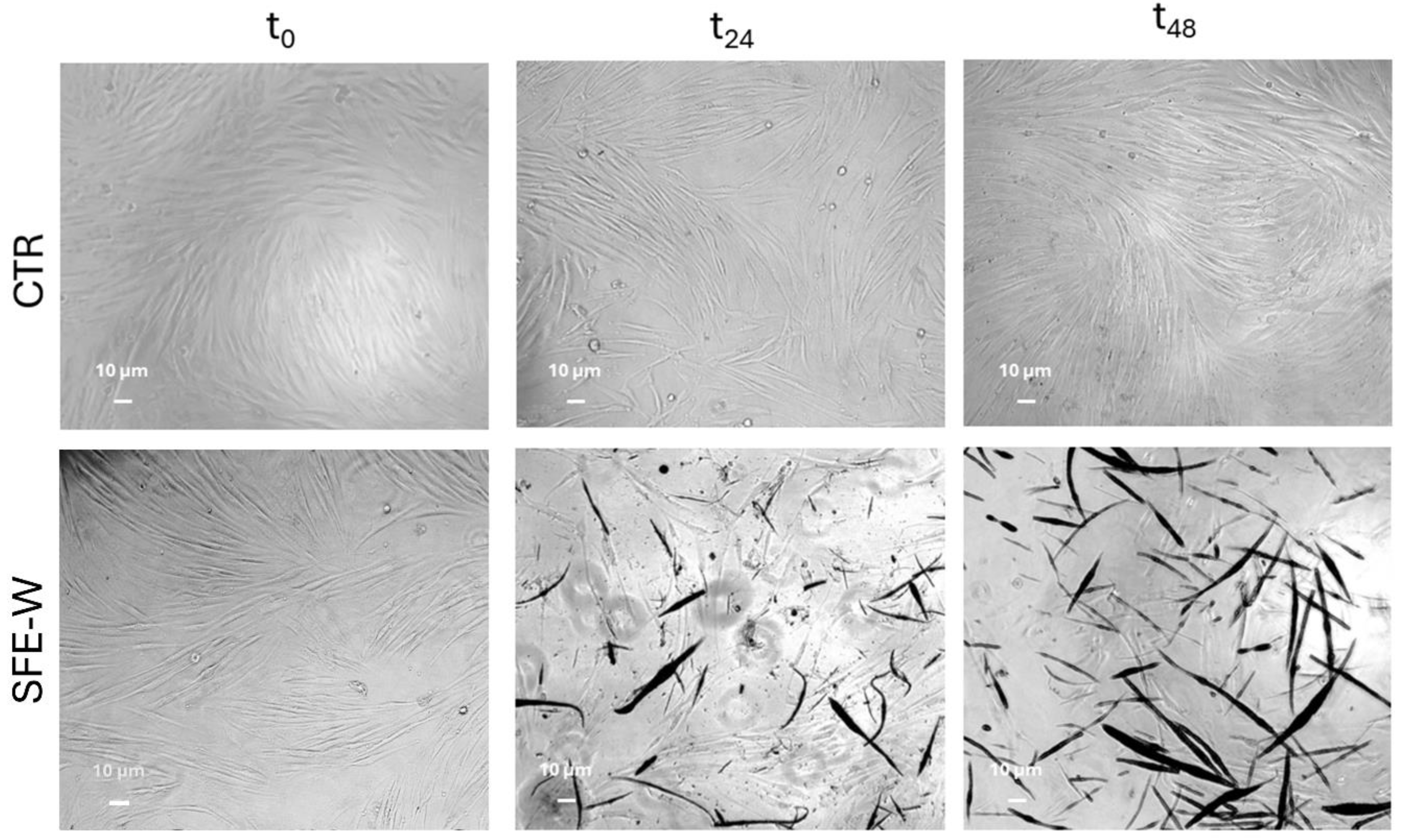 Polymers 17 00742 g014 Polymers 17 00742 g014