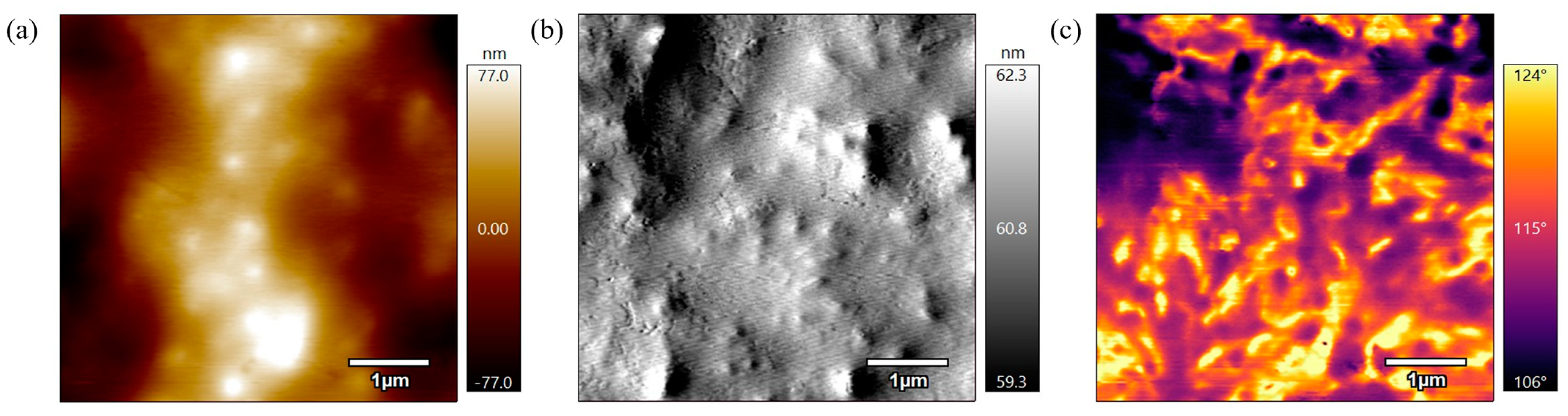 Polymers 17 00744 g010