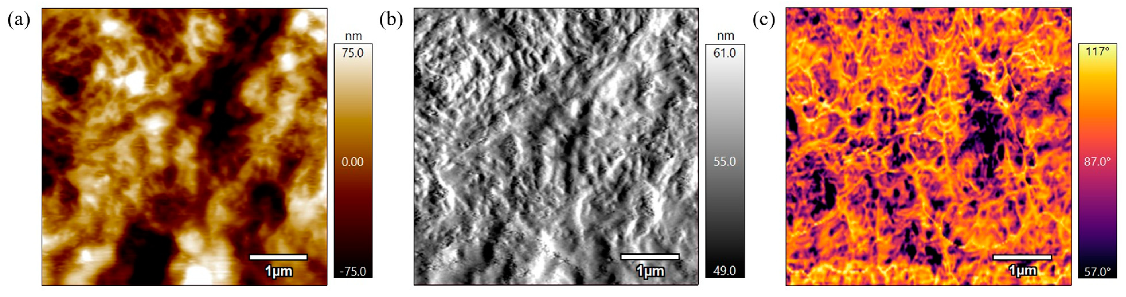 Polymers 17 00744 g012