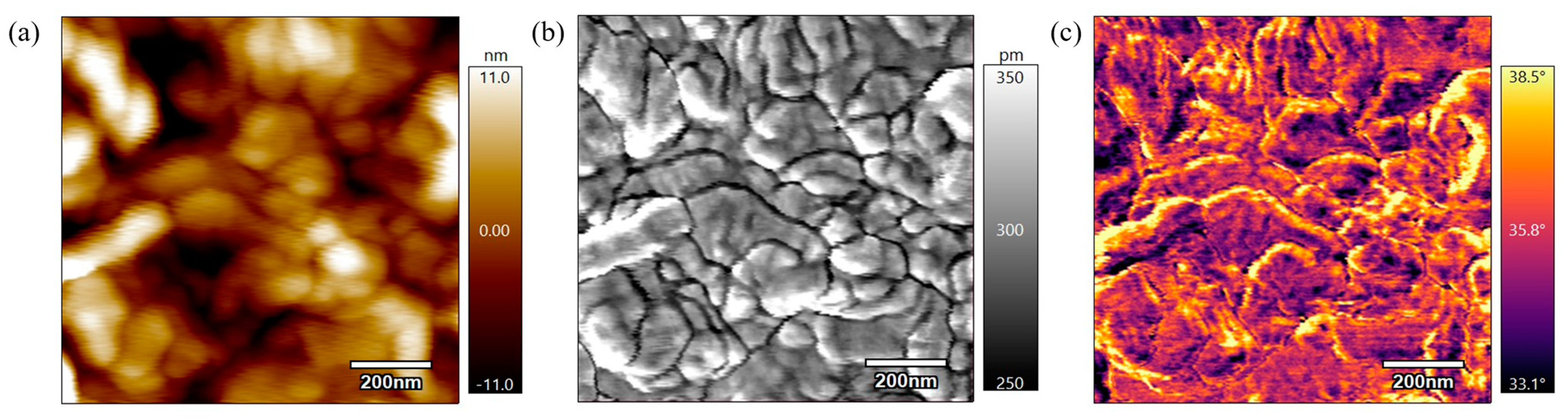 Polymers 17 00744 g014