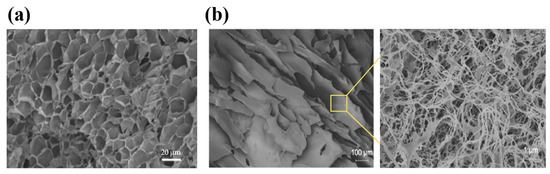 Polymers 17 00780 g002