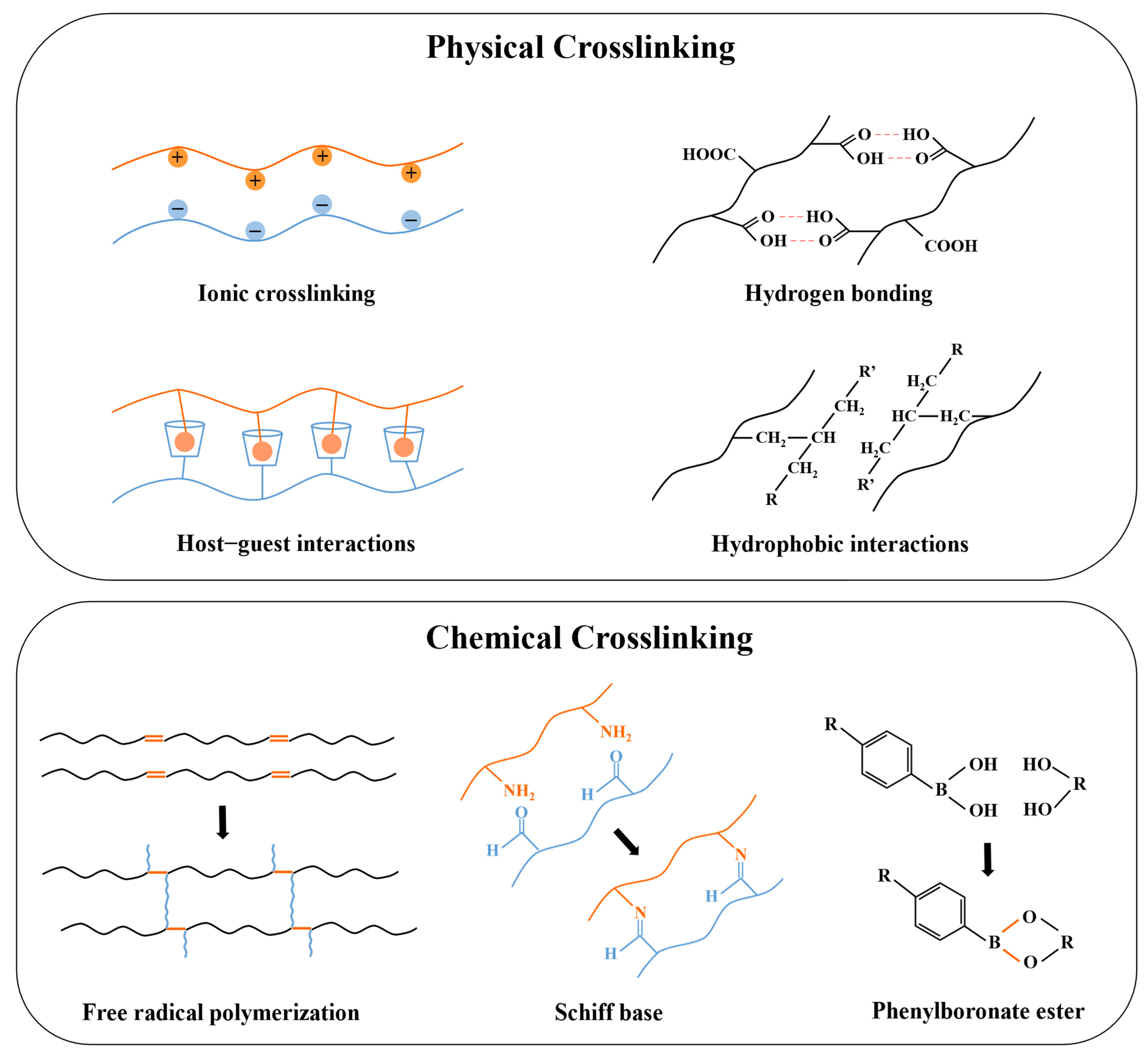 Polymers 17 00780 g004