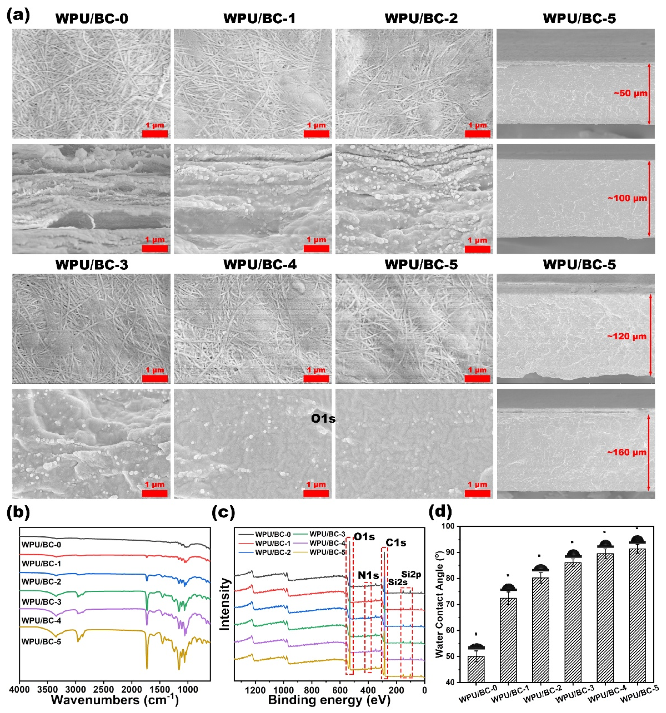 Polymers 17 00787 g002