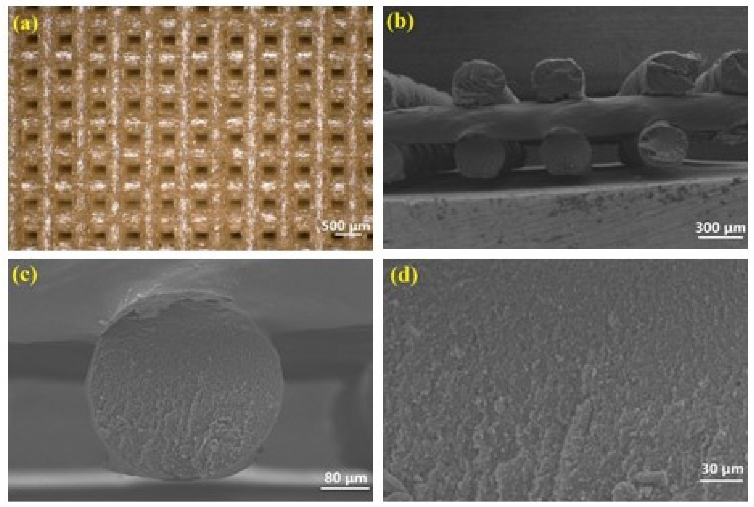 Polymers 17 00808 g004 Polymers 17 00808 g004