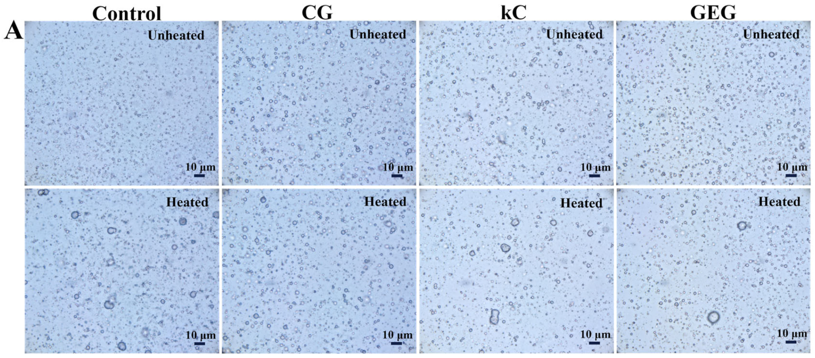 Polymers 17 00809 g003a