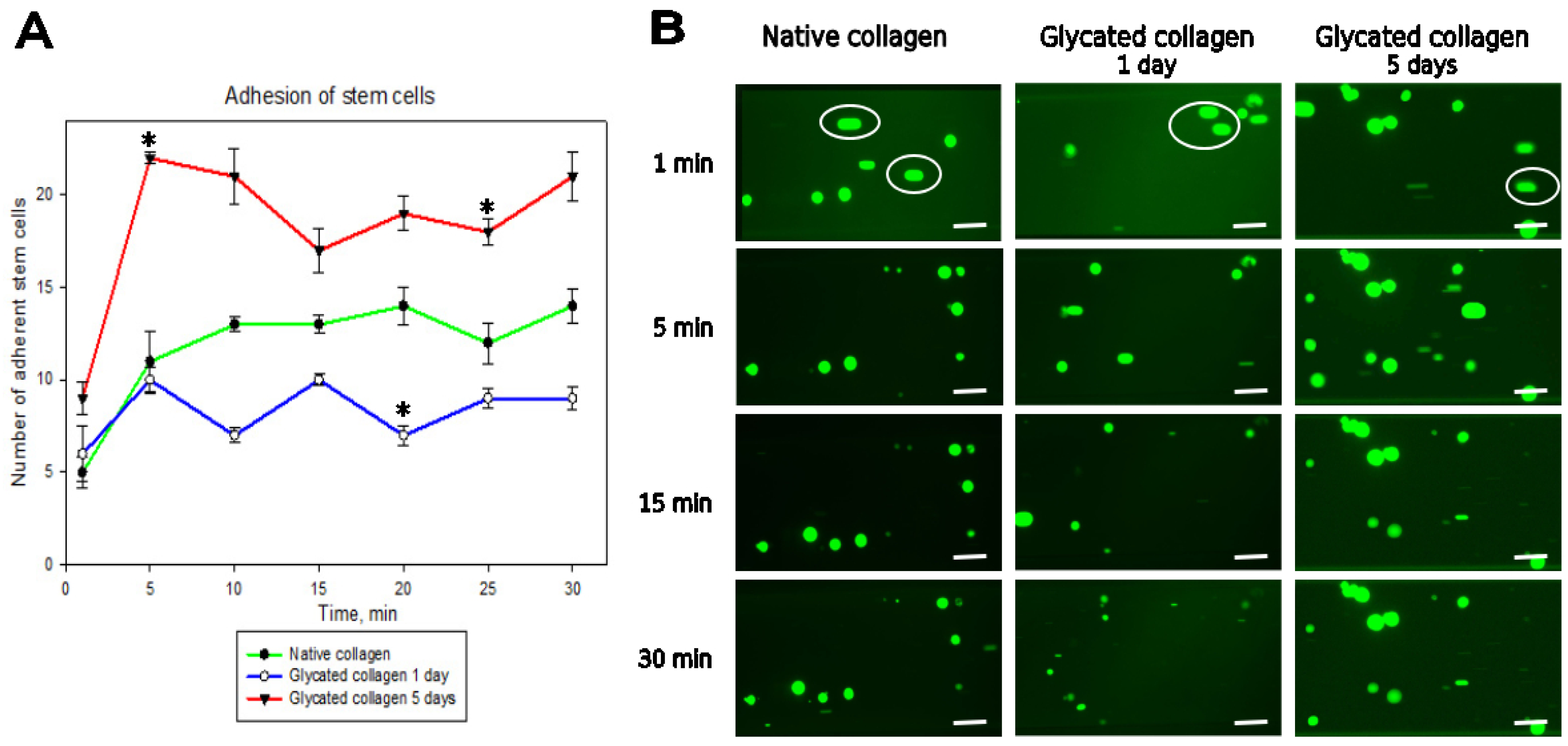 Polymers 17 00821 g003