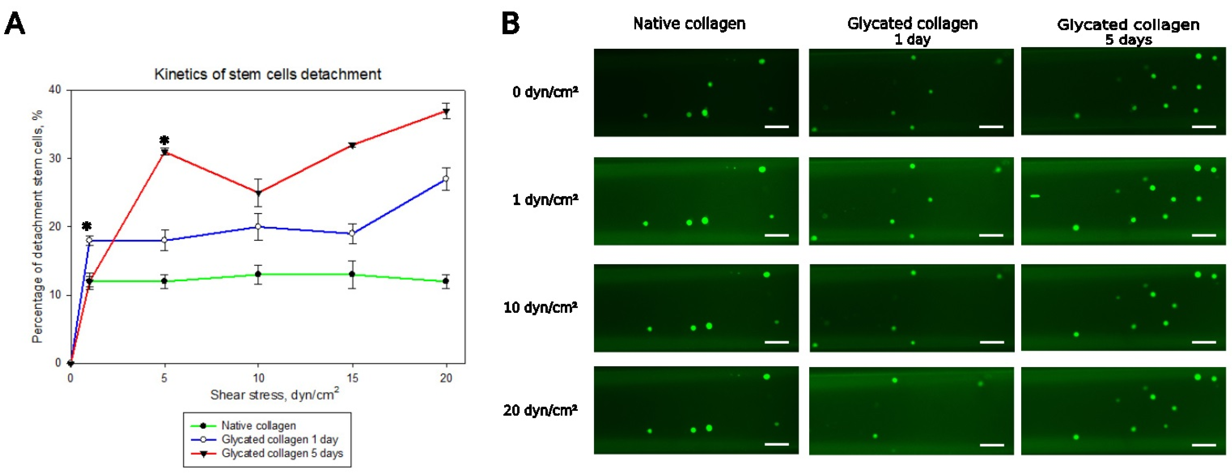 Polymers 17 00821 g004