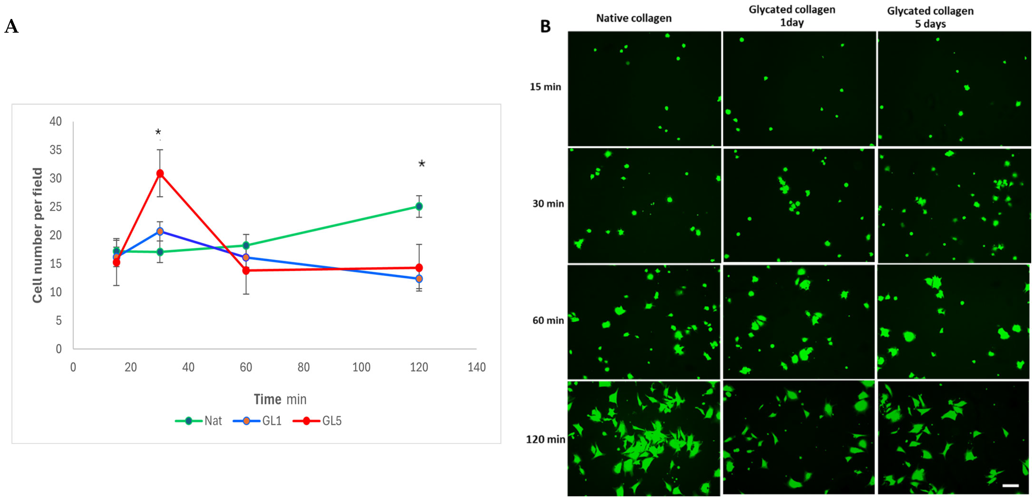 Polymers 17 00821 g005