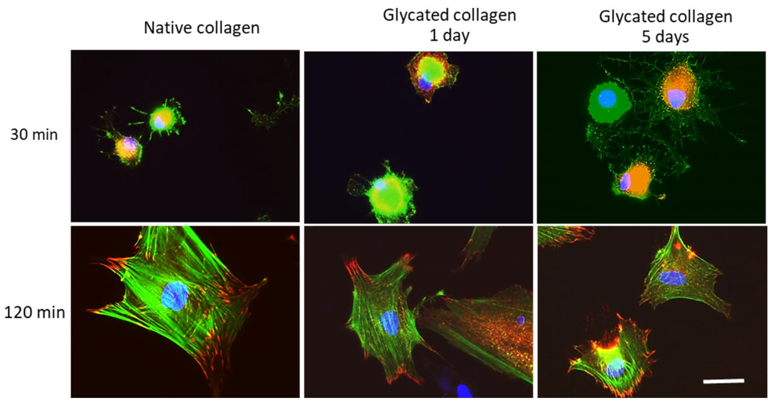 Polymers 17 00821 g006