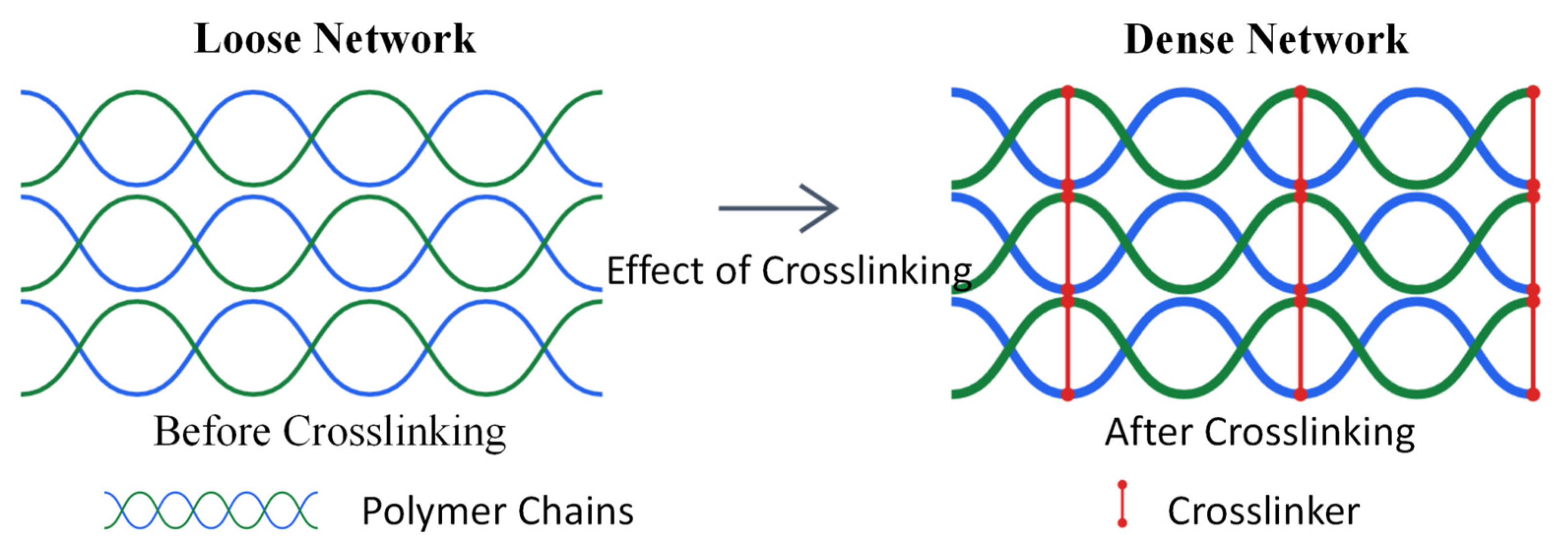 Polymers 17 00827 g008