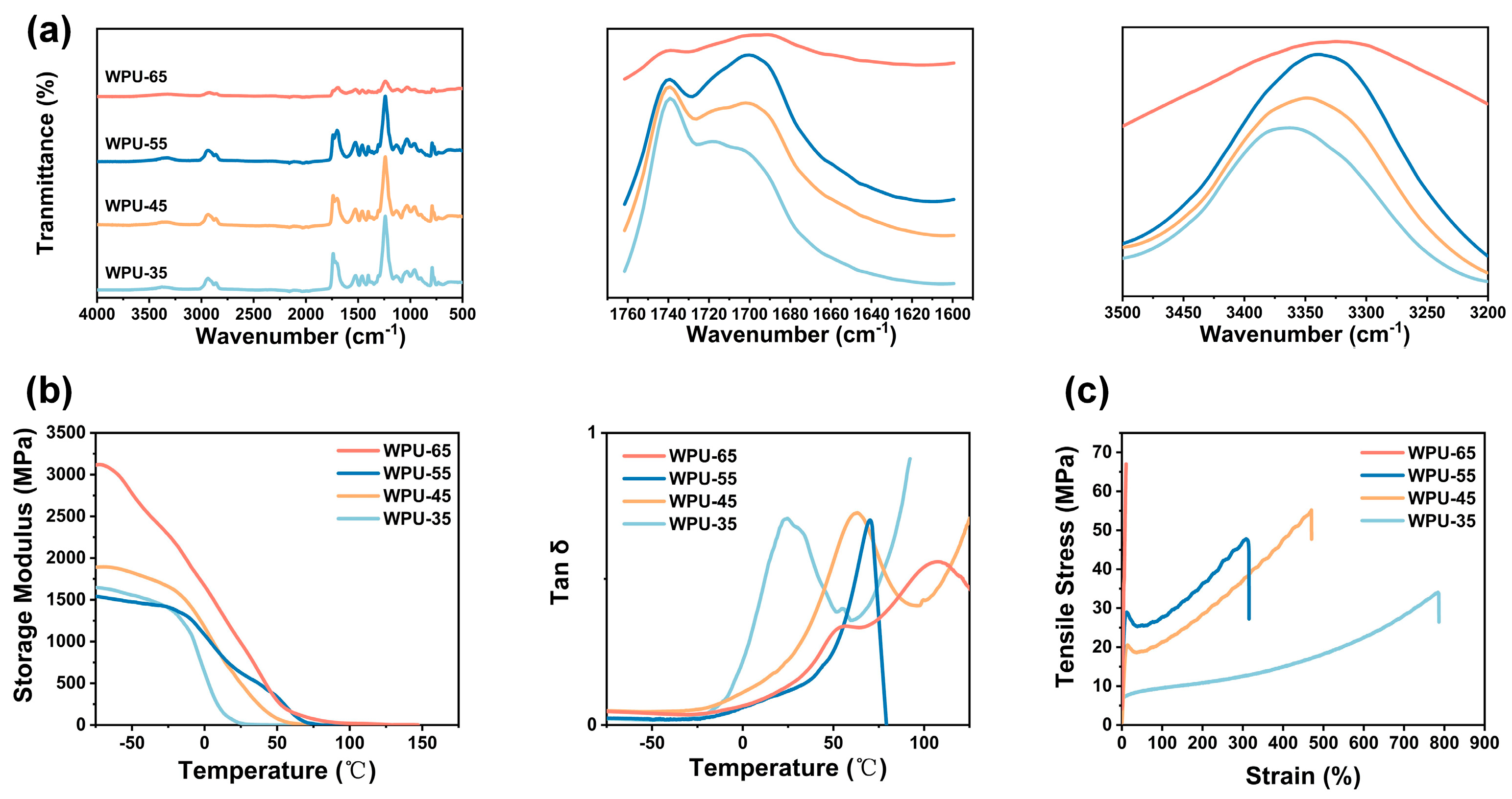 Polymers 17 00837 g004